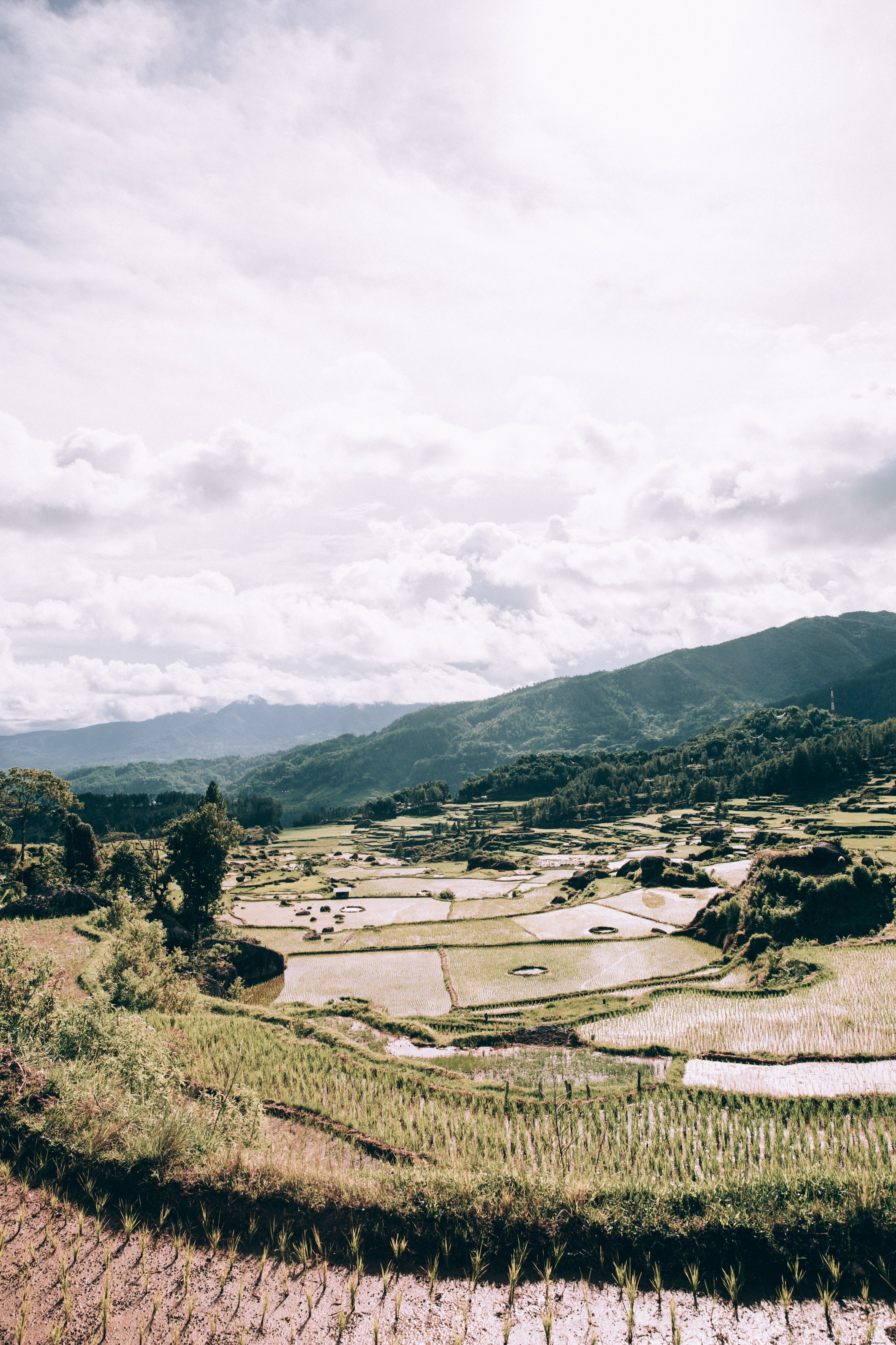 Sunny Valley Of Farmland Dipenuhi Dengan Foto Sinar Matahari