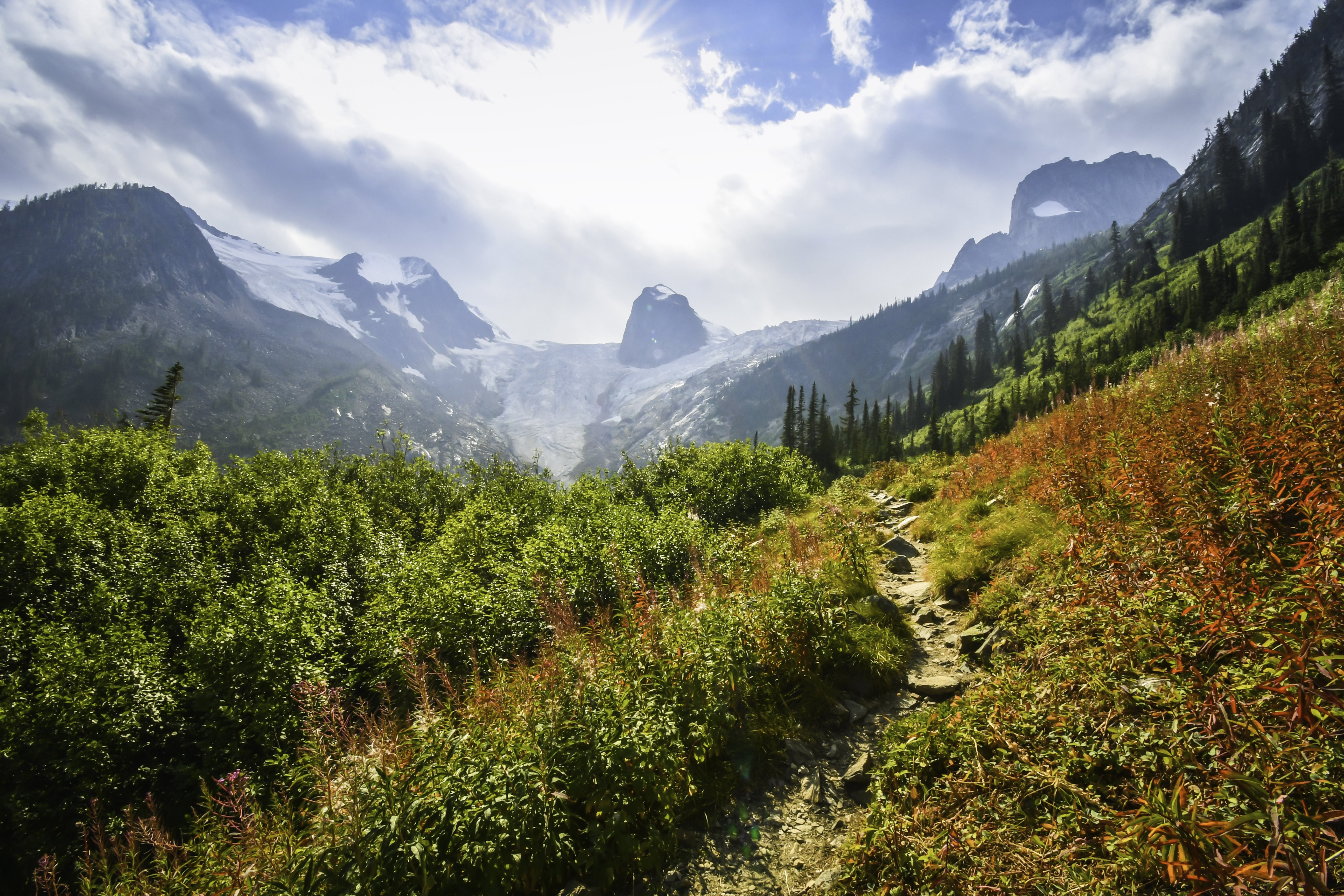 Sentiero di montagna rocciosa incorniciato dal verde e immerso nella luce del sole foto