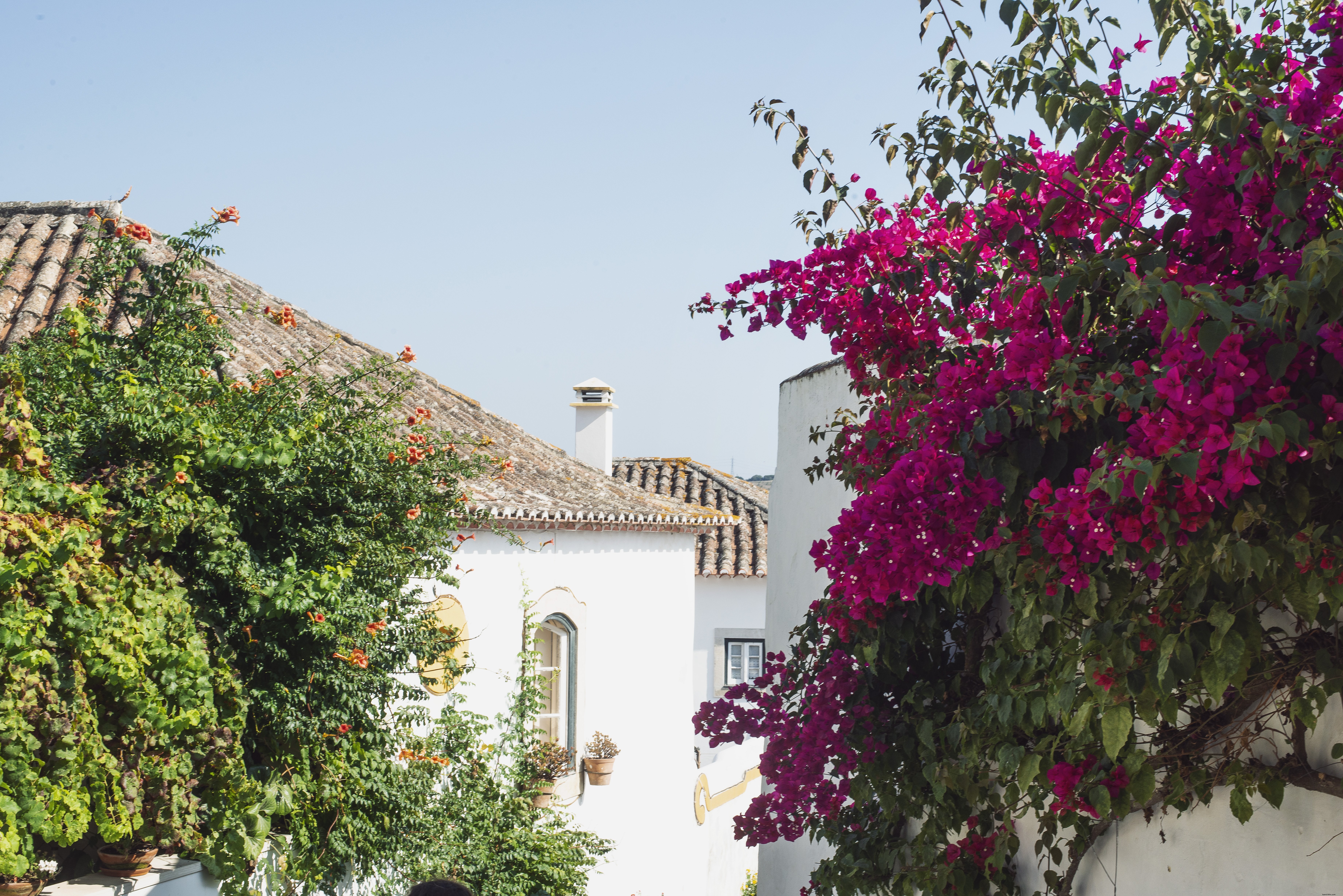 Prédios brancos do Mediterrâneo com manchas de fotos coloridas