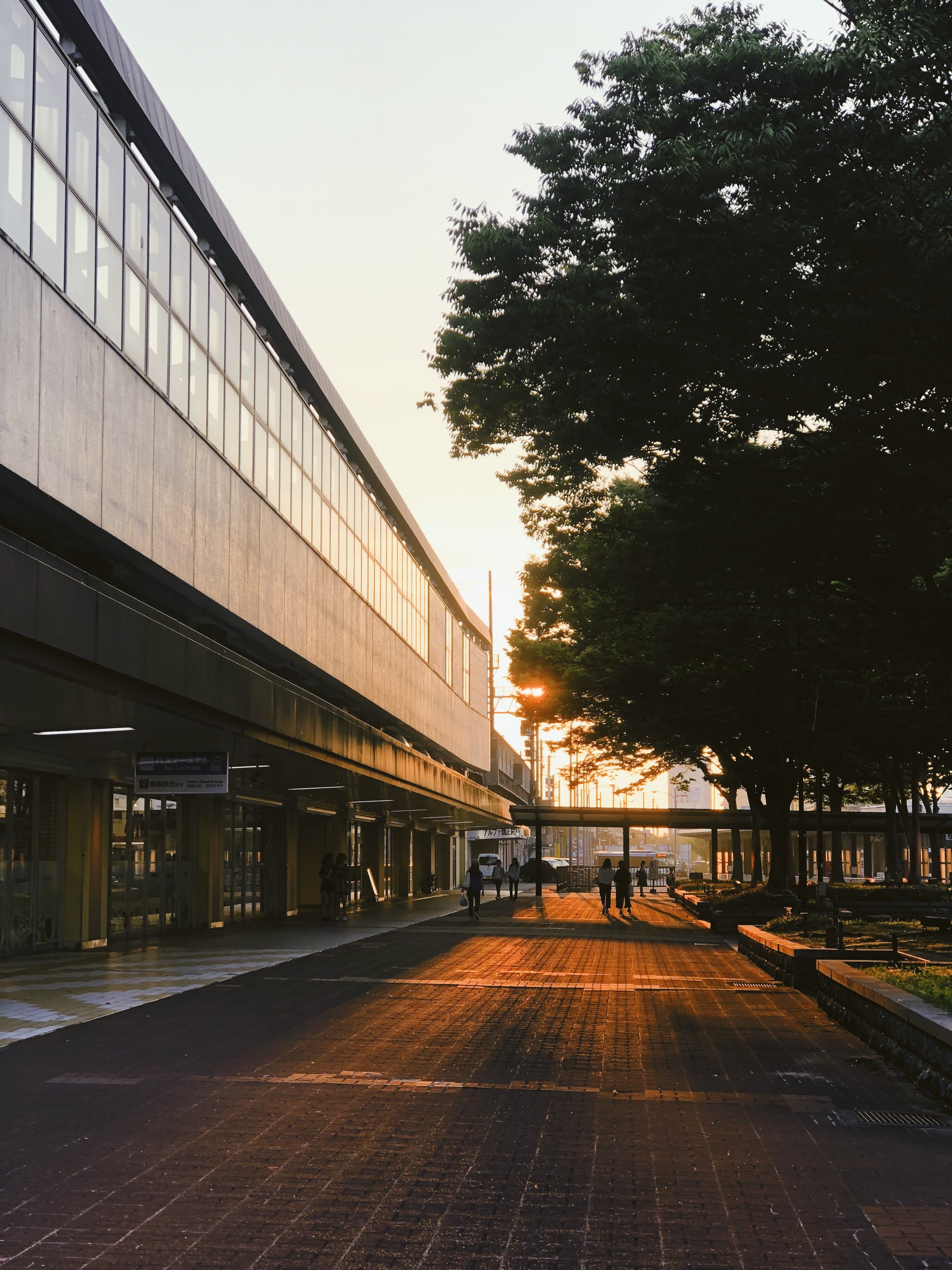 早朝の光の写真のバスターミナル