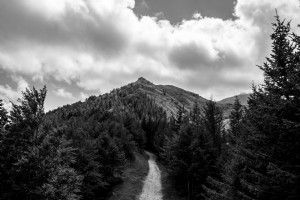 Caminho da montanha até o cume ladeado por árvores. Foto