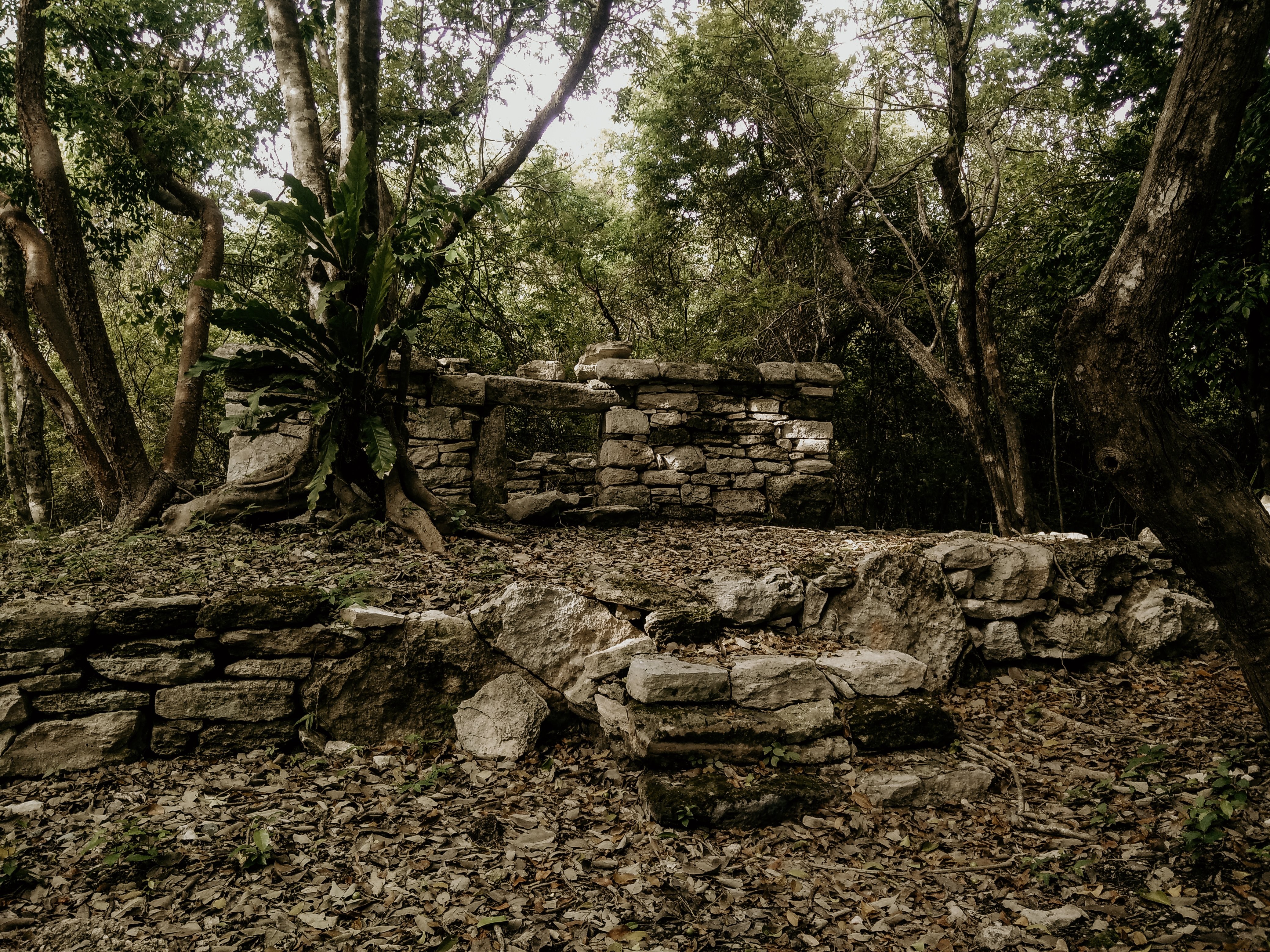 Rovine Maya Cancun Messico Foto