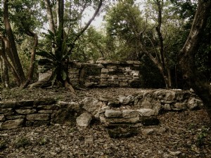 Reruntuhan Maya Cancun Mexico Foto