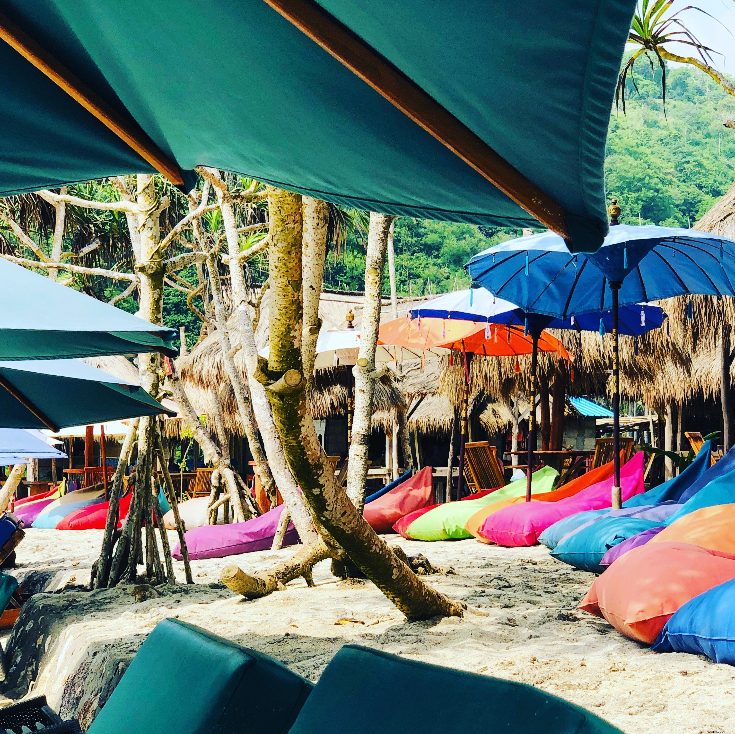 Sacos de feijão coloridos em uma praia sob tons de azul e fotos de árvores