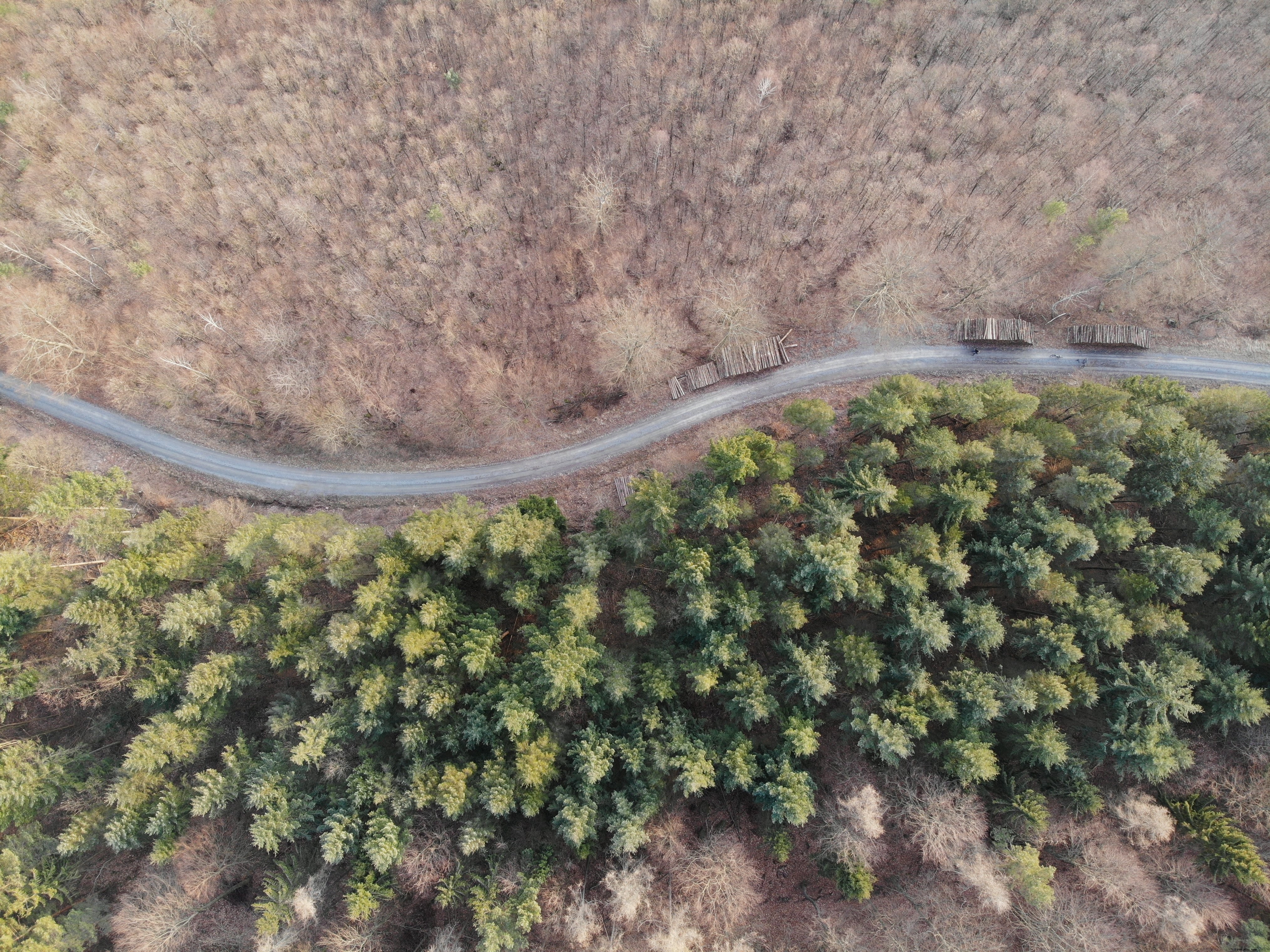 Foto de Uma Vista Aérea De Uma Estrada Com Árvores De Ambos Os Lados