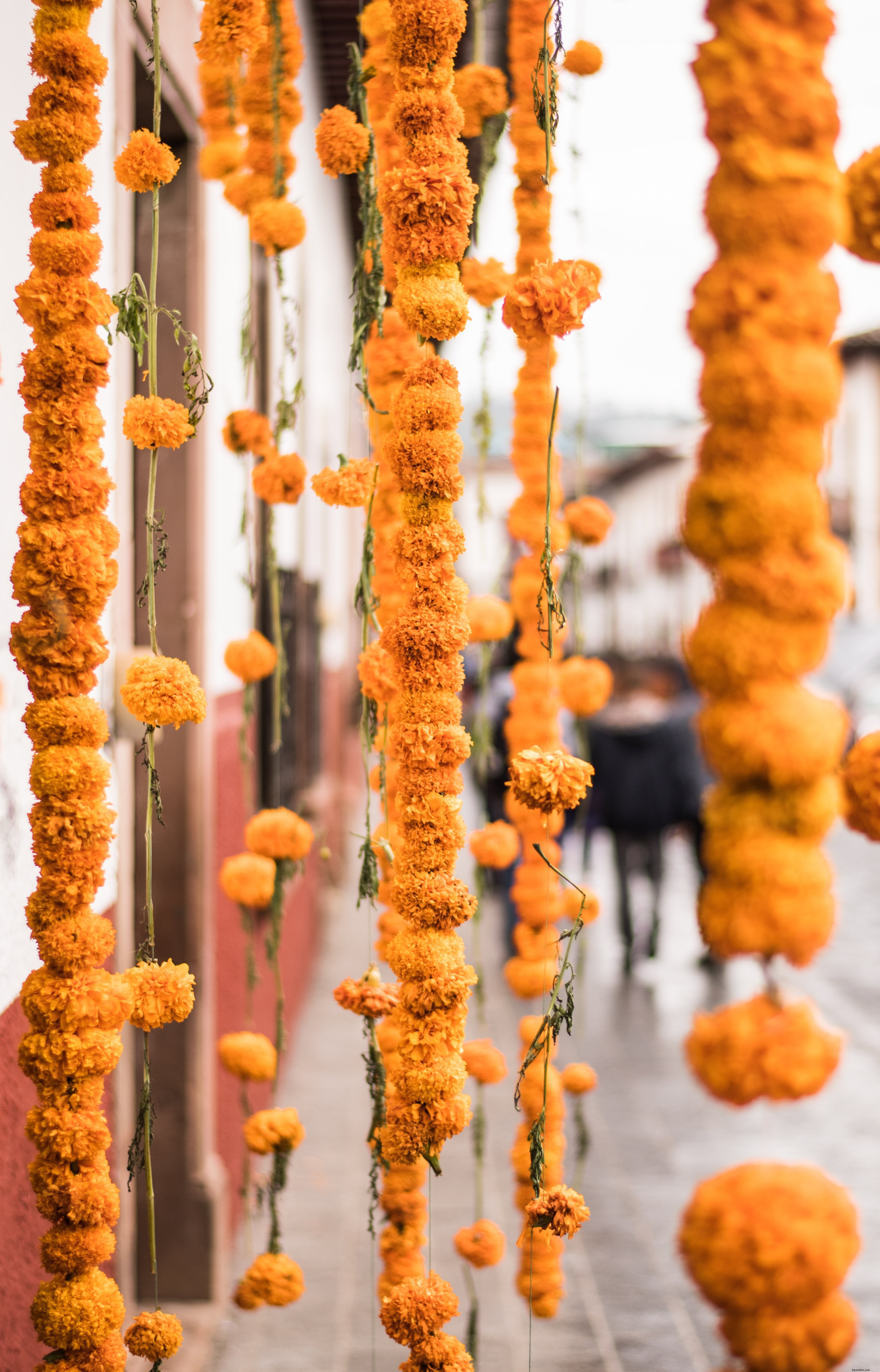 Stringhe Di Calendule Appese Sulla Strada Foto