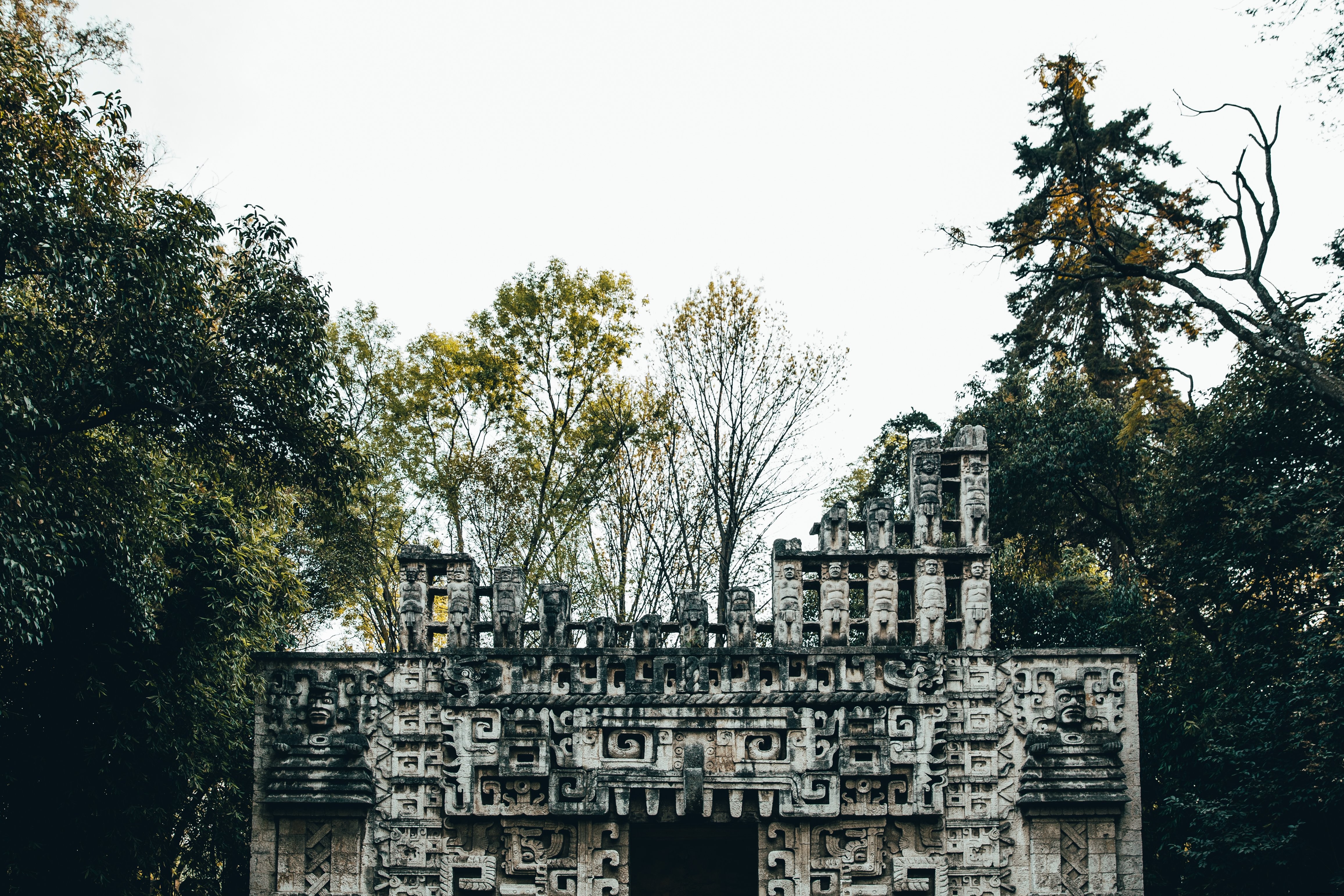 Foto de templo antiguo en árboles