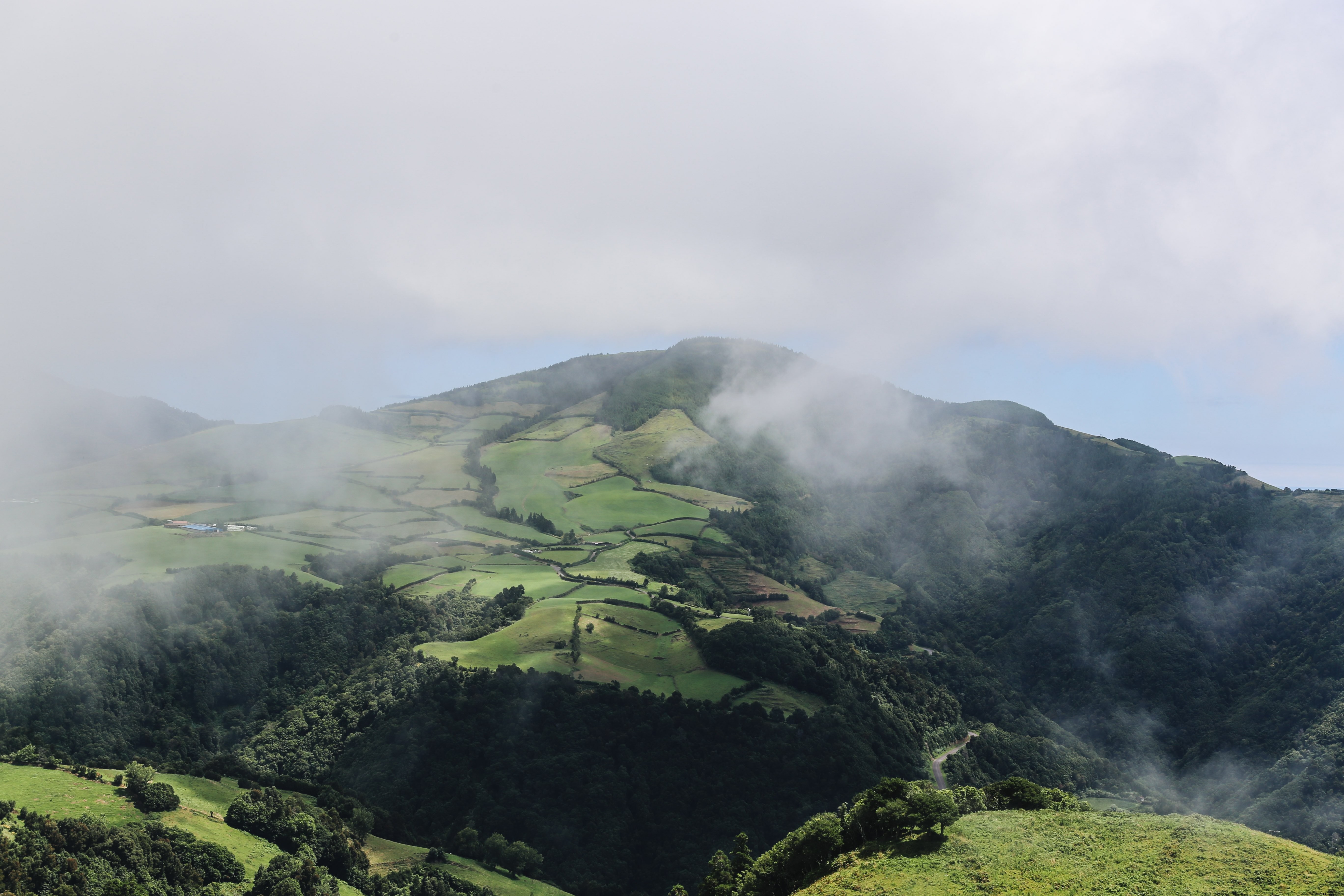 La niebla se desliza a través del primer plano de la foto del paisaje