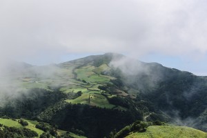La niebla se desliza a través del primer plano de la foto del paisaje
