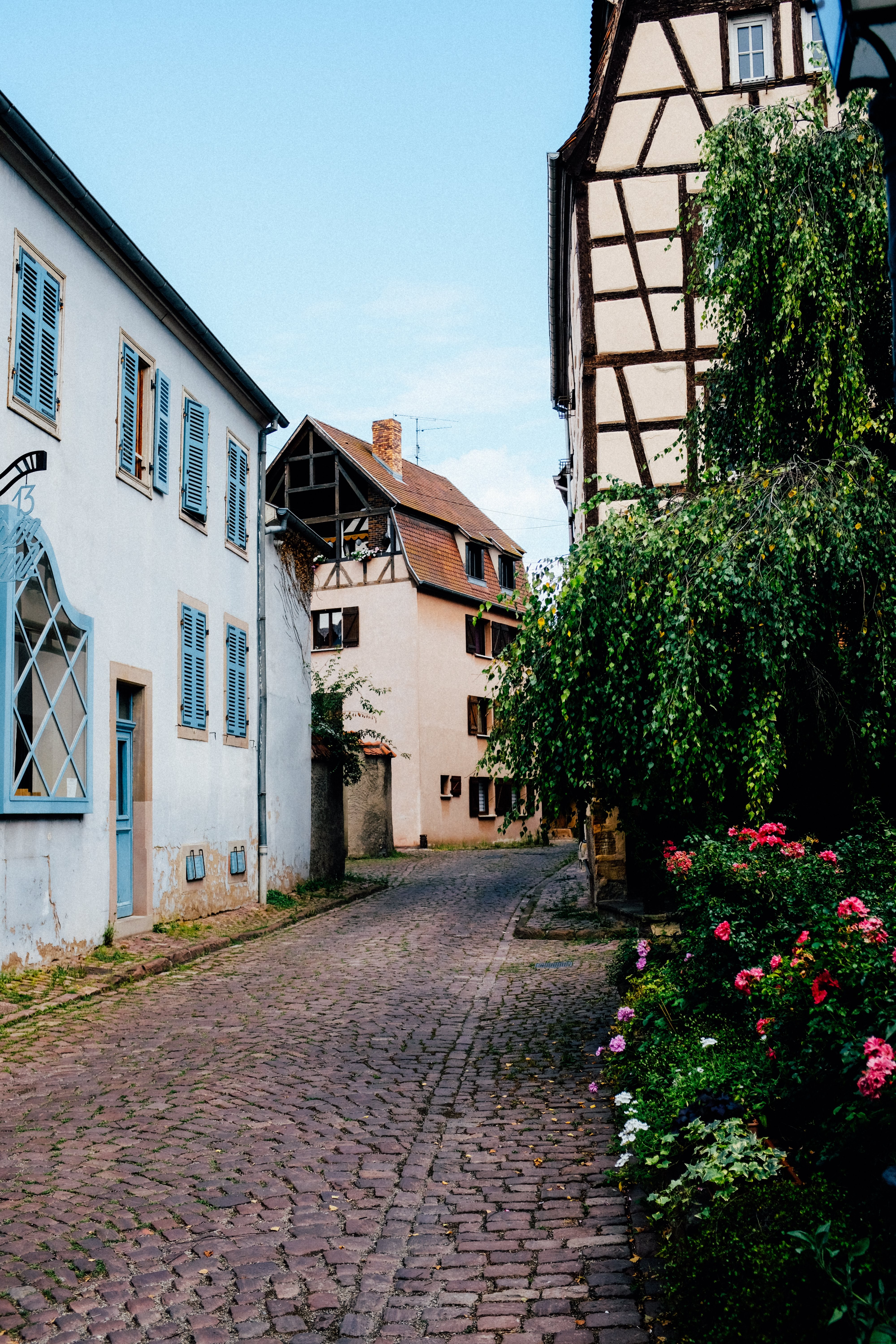 Cobble Stone Street Shrowed en photo de feuillage