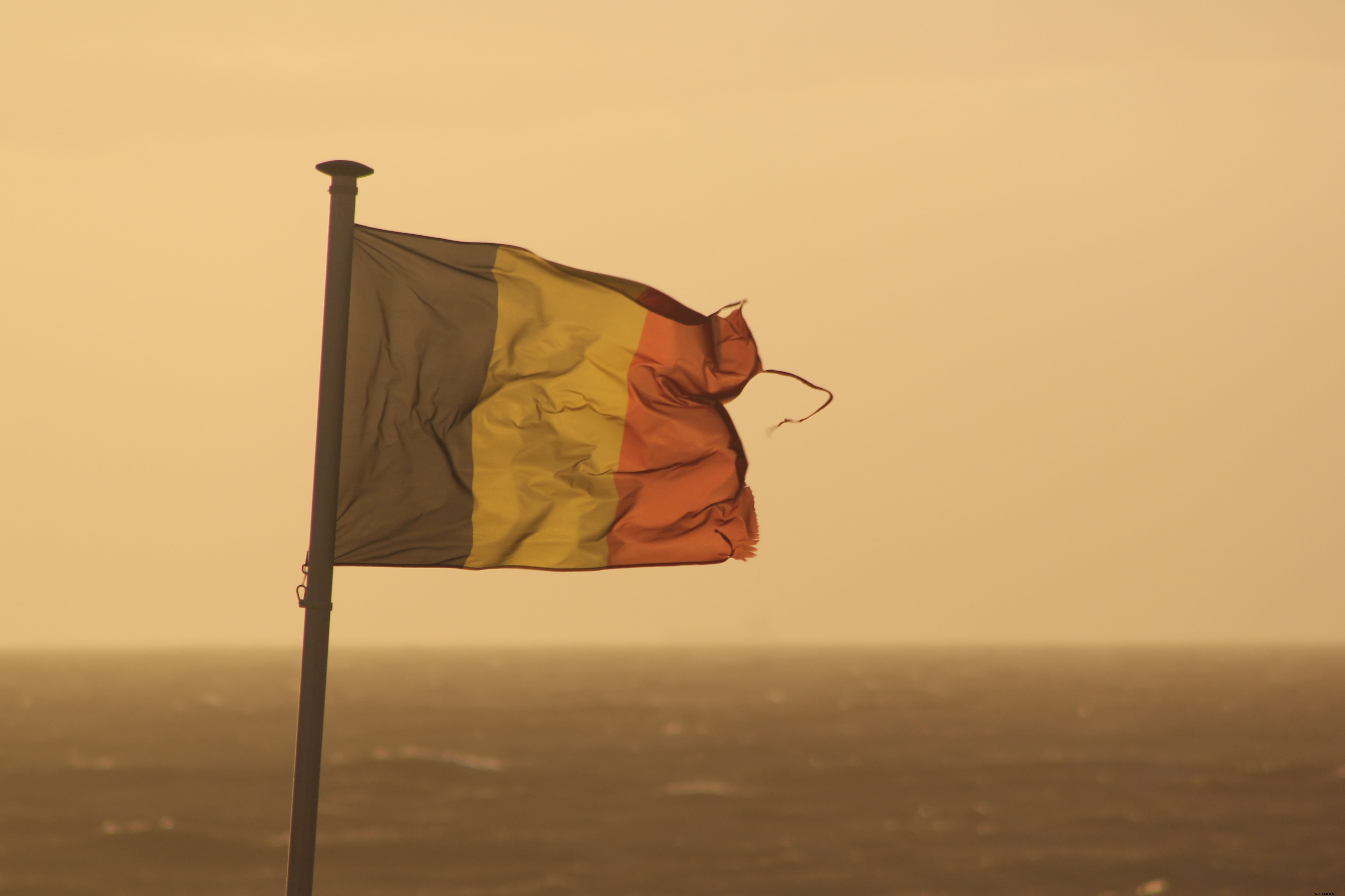 Bandera de Francia envejecida por foto de agua