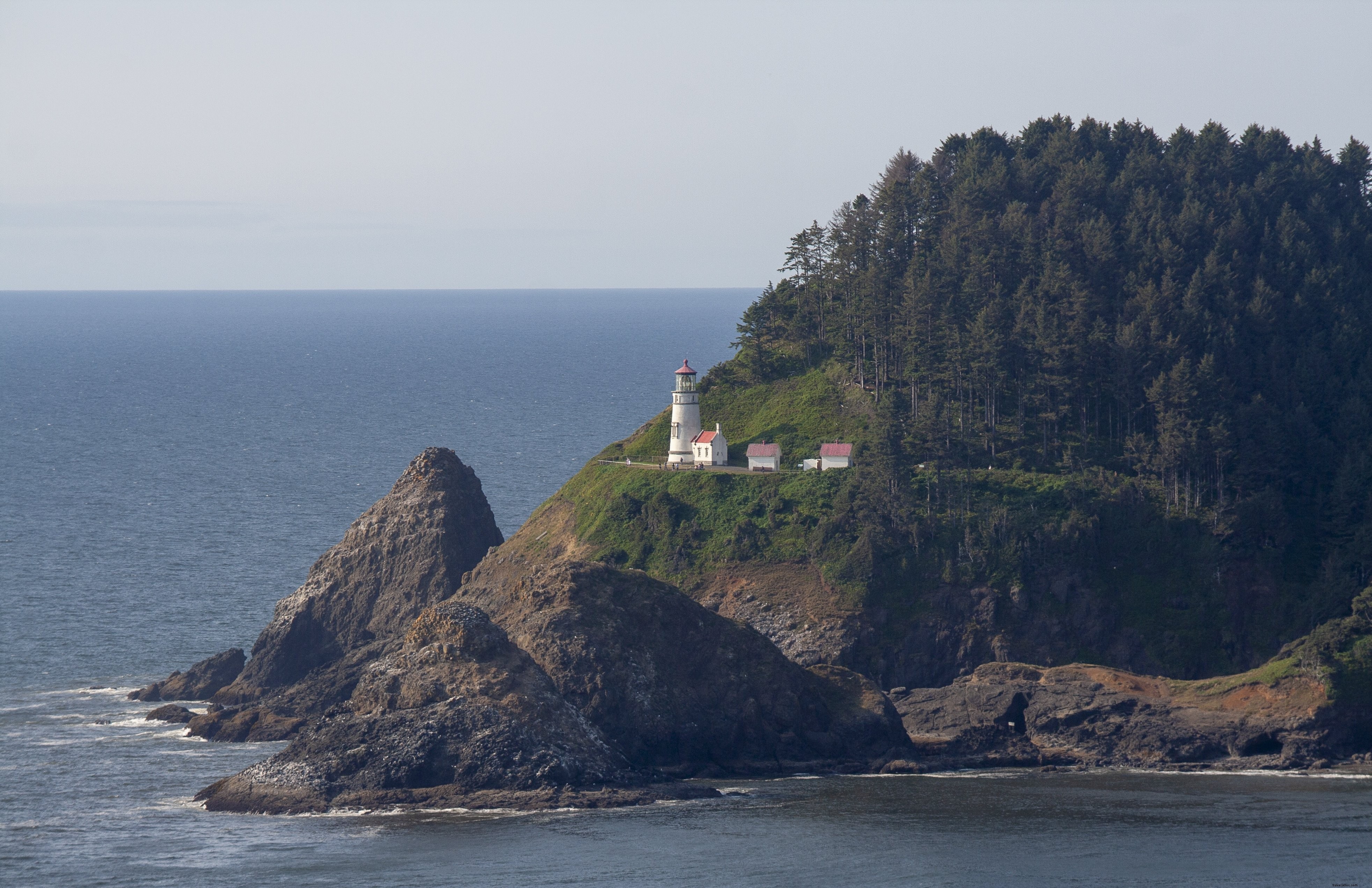 Foto de un faro en una península cubierta de árboles