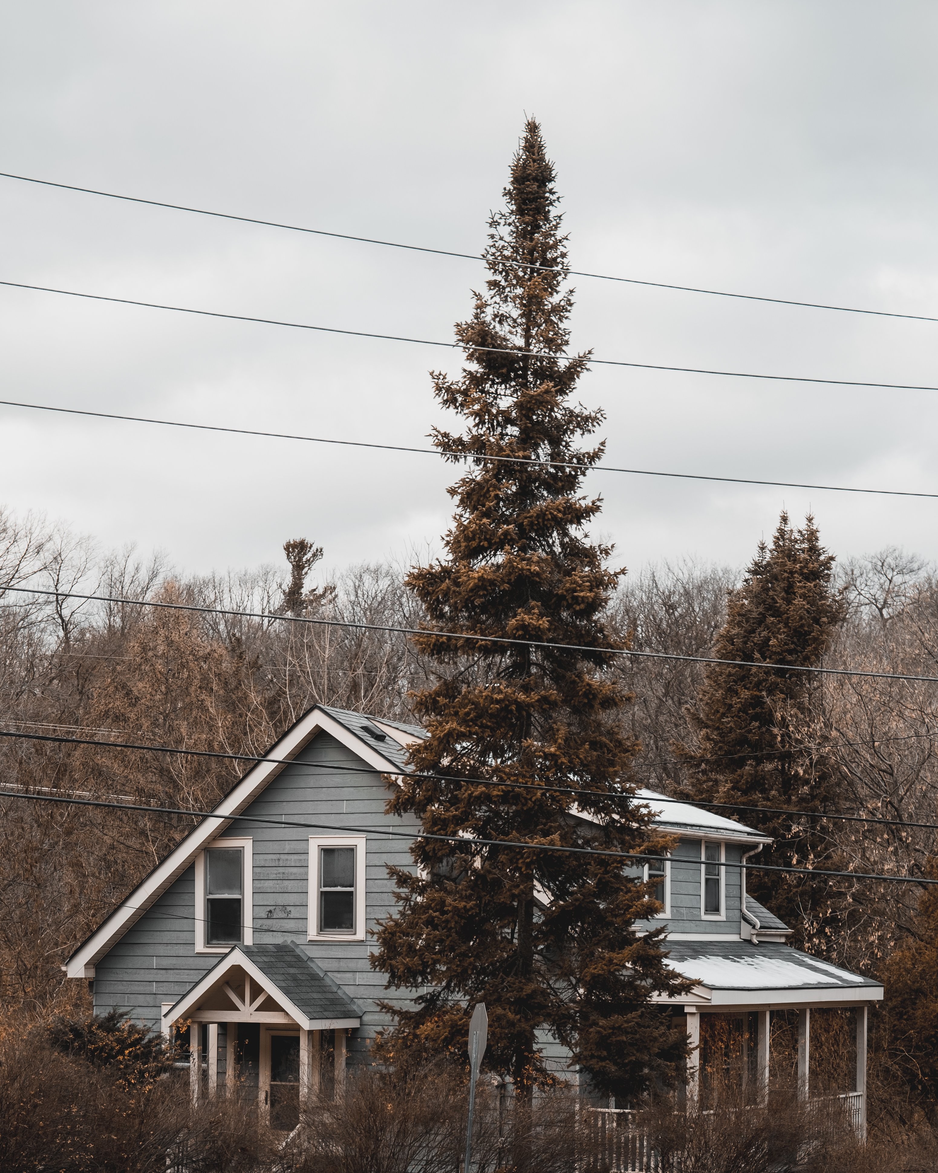 木の写真に囲まれた灰色の小屋