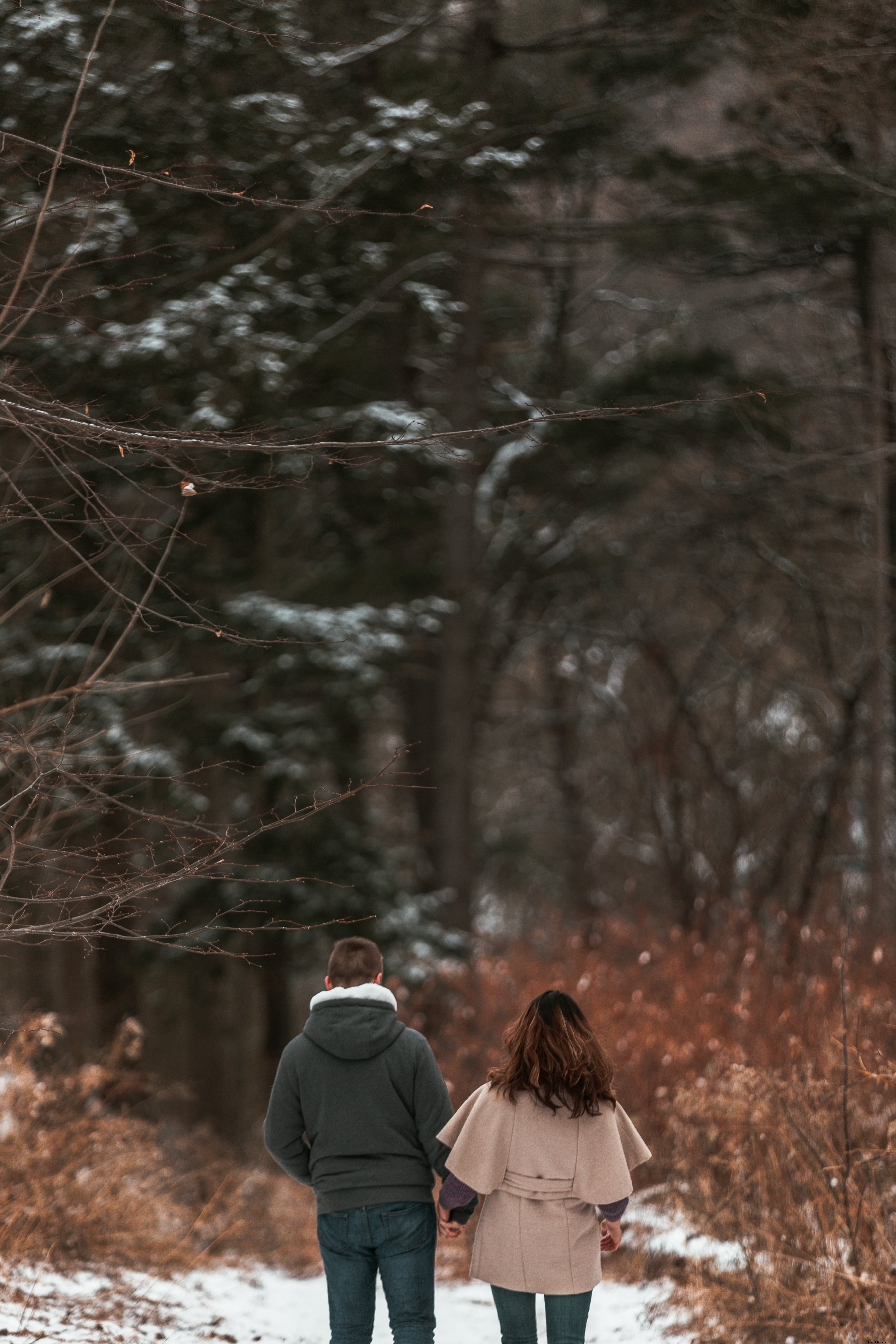 森の中の活発な散歩を楽しんでいるカップル写真