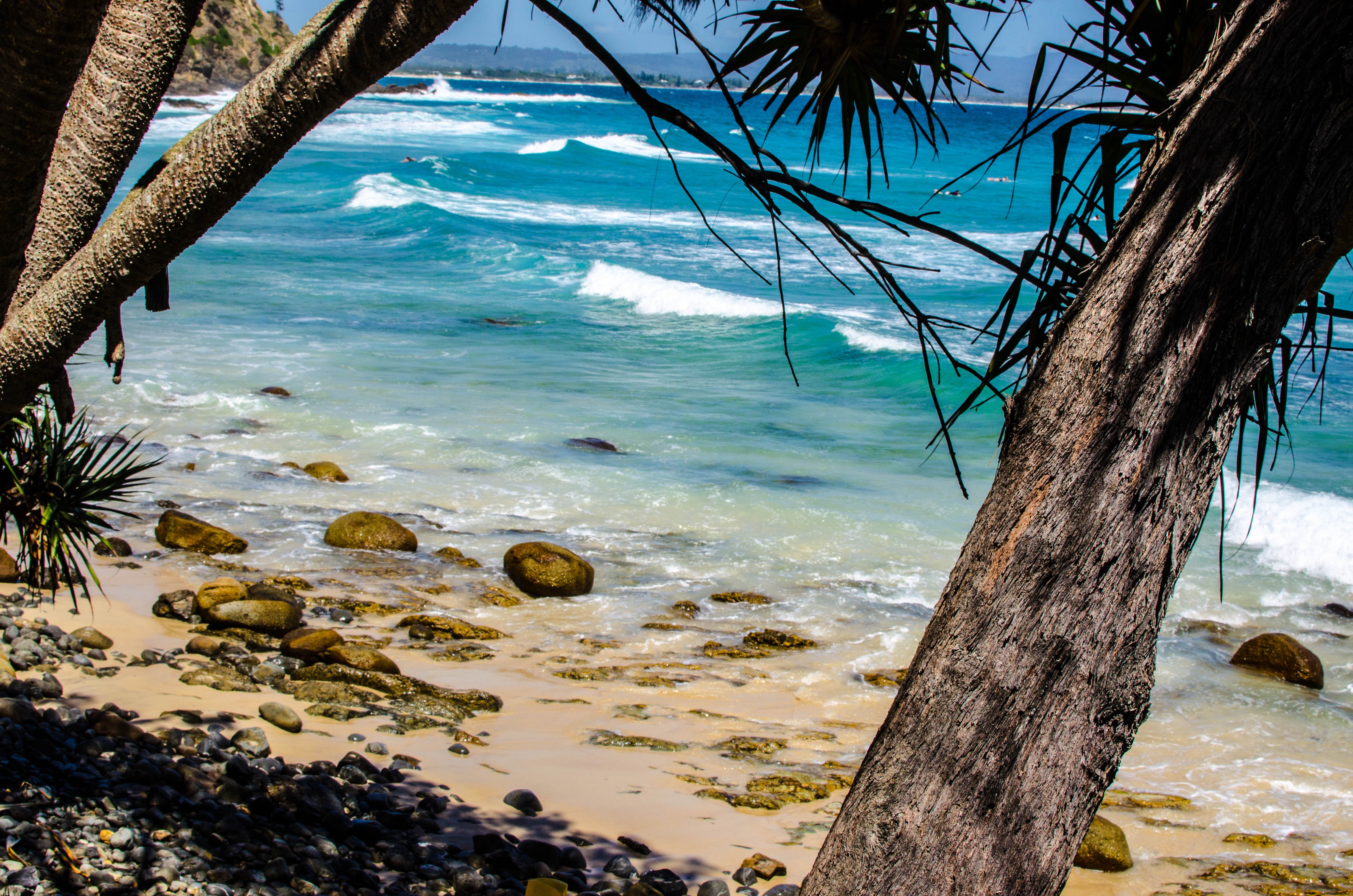 Des vagues bleues roulent sur des galets sur une photo de plage bordée de palmiers