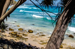 Des vagues bleues roulent sur des galets sur une photo de plage bordée de palmiers