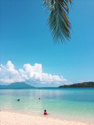 Palm Fronde pend au-dessus de la plage de sable blanc Photo