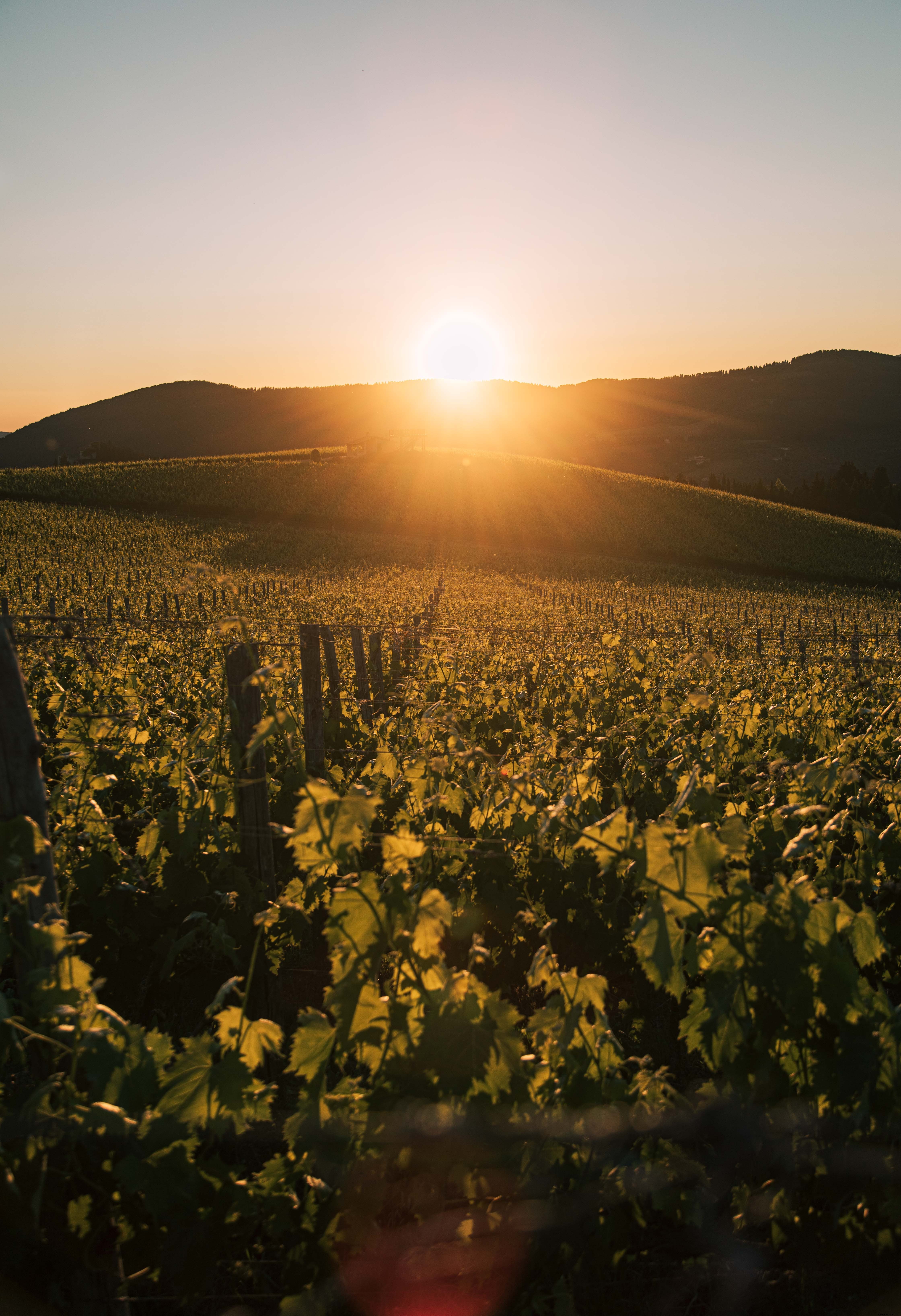 Lumière éblouissante alors que le soleil se couche sous la photo des montagnes