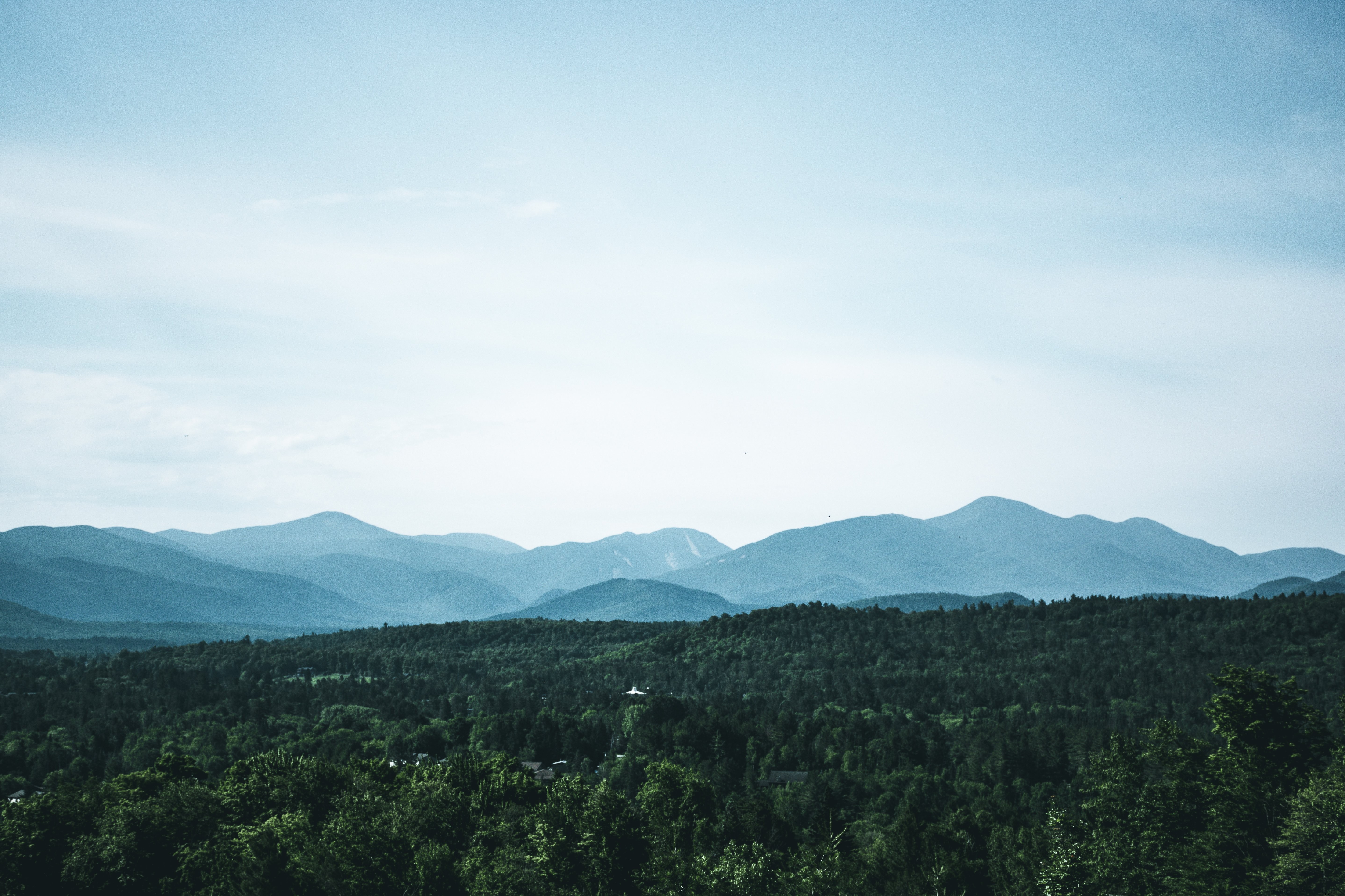 Des milliers de cimes d arbres sous un ciel bleu Photo