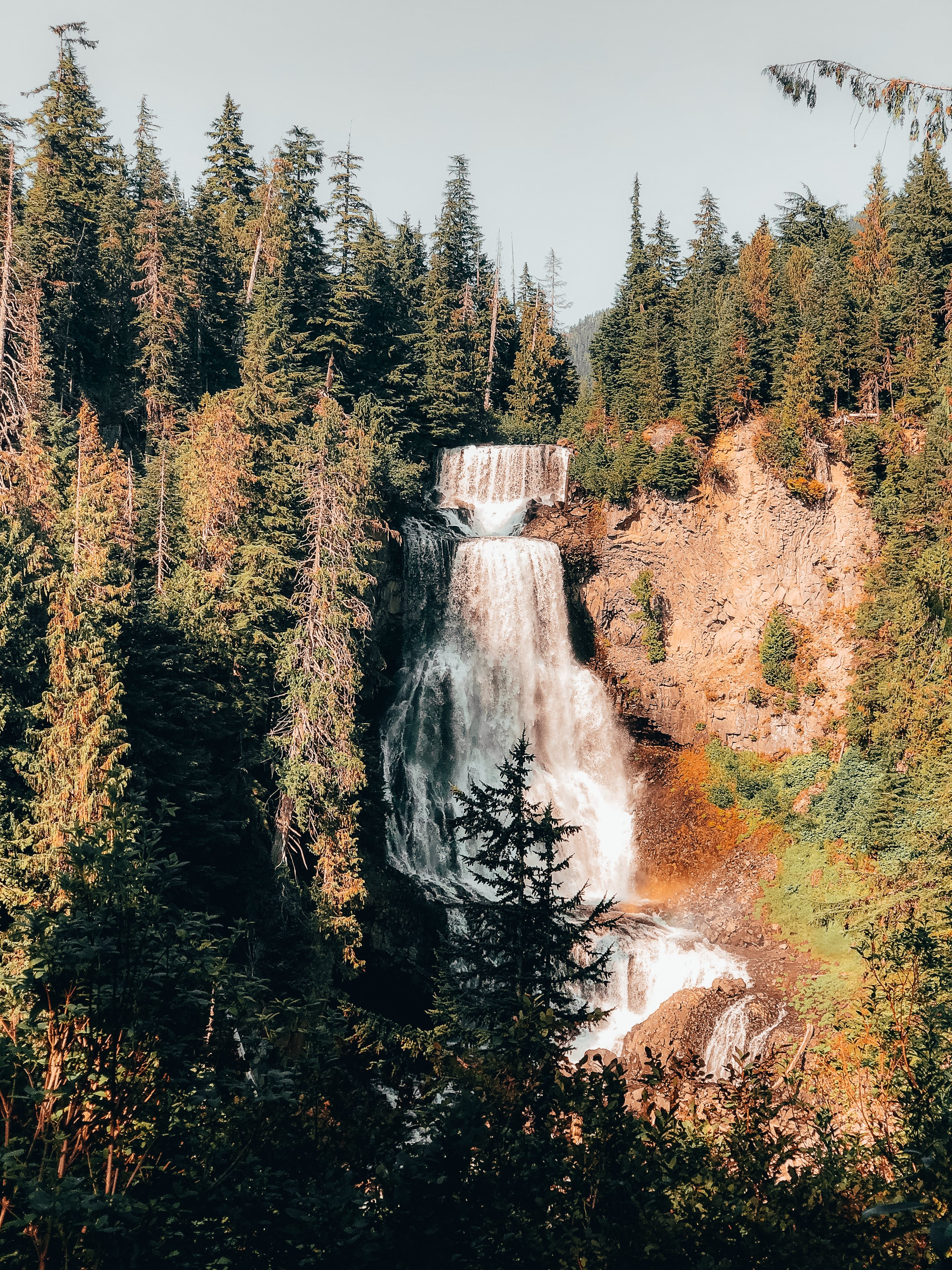 Air Terjun Dikelilingi Hutan Pepohonan Hijau Foto