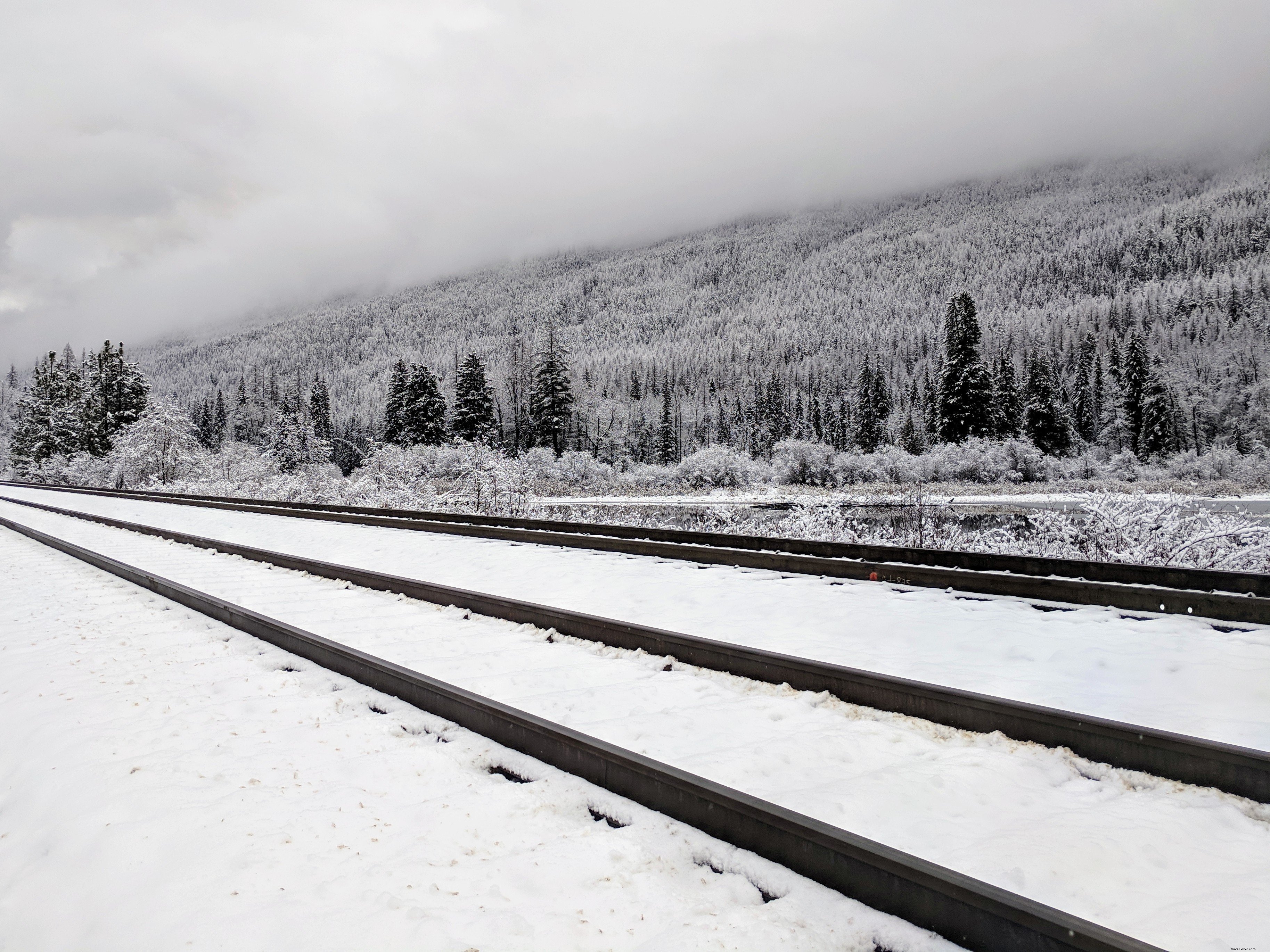 Foto de árvores cobertas de neve