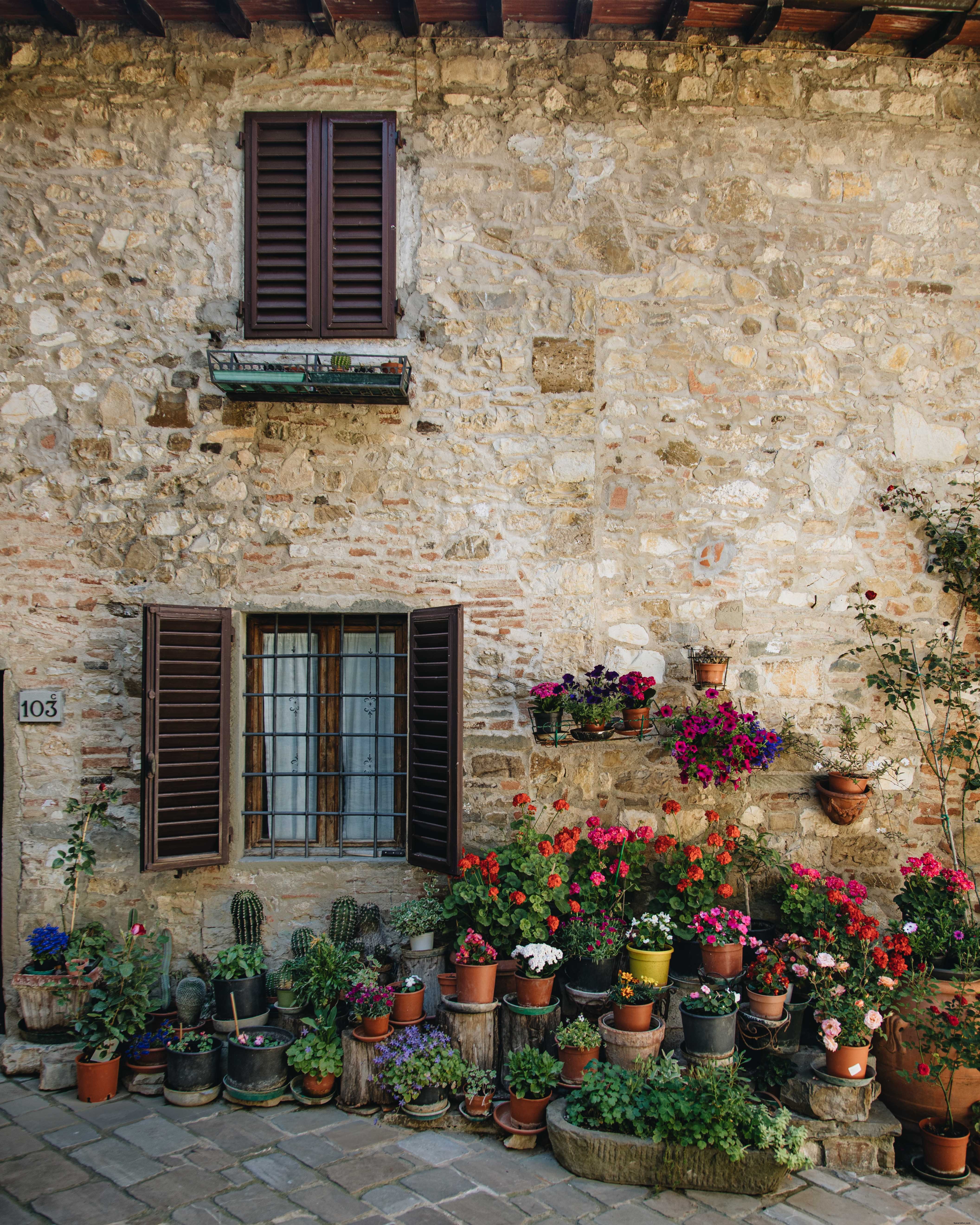 Innumerevoli piante in un cortile foto