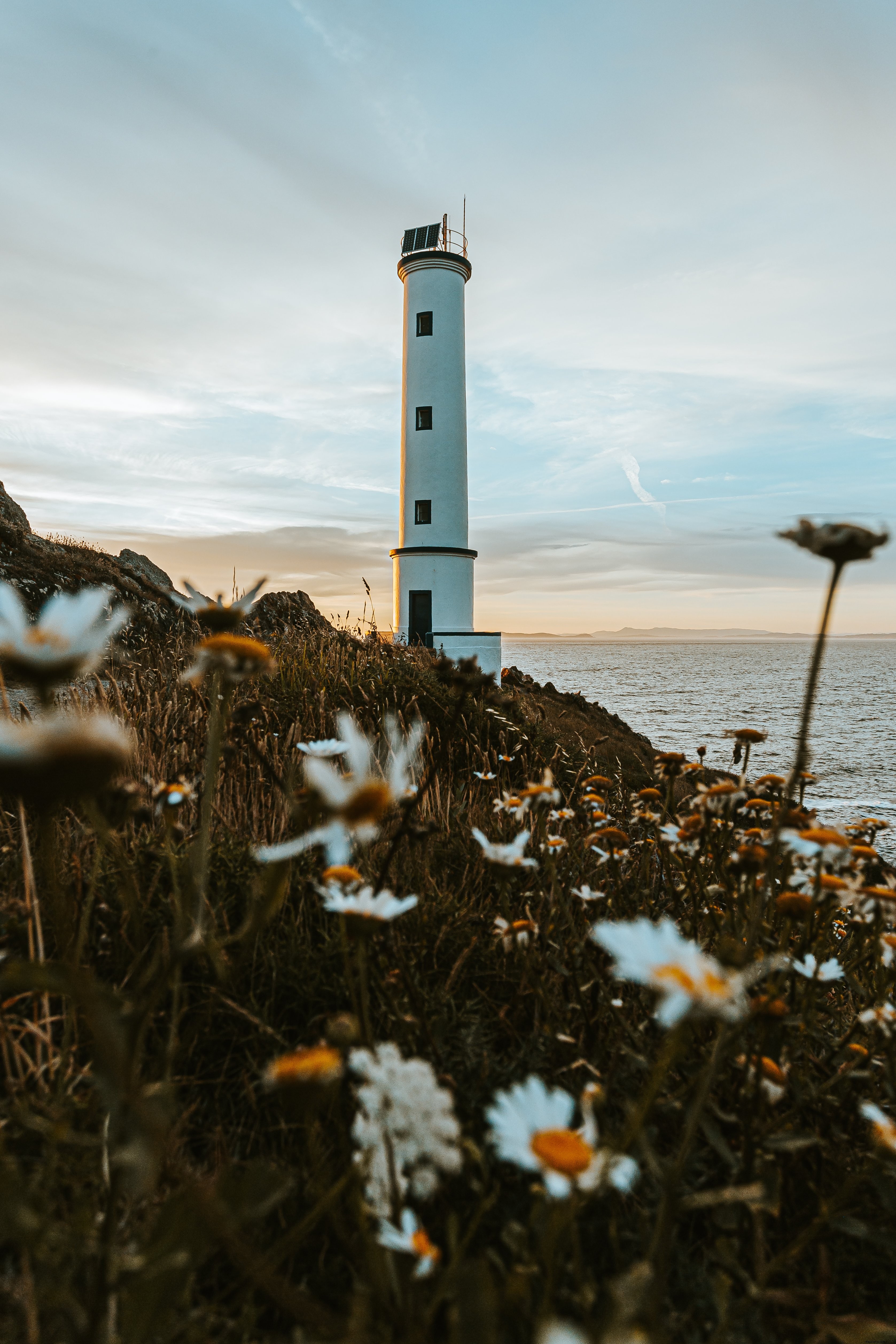 Faro circondato da margherite foto