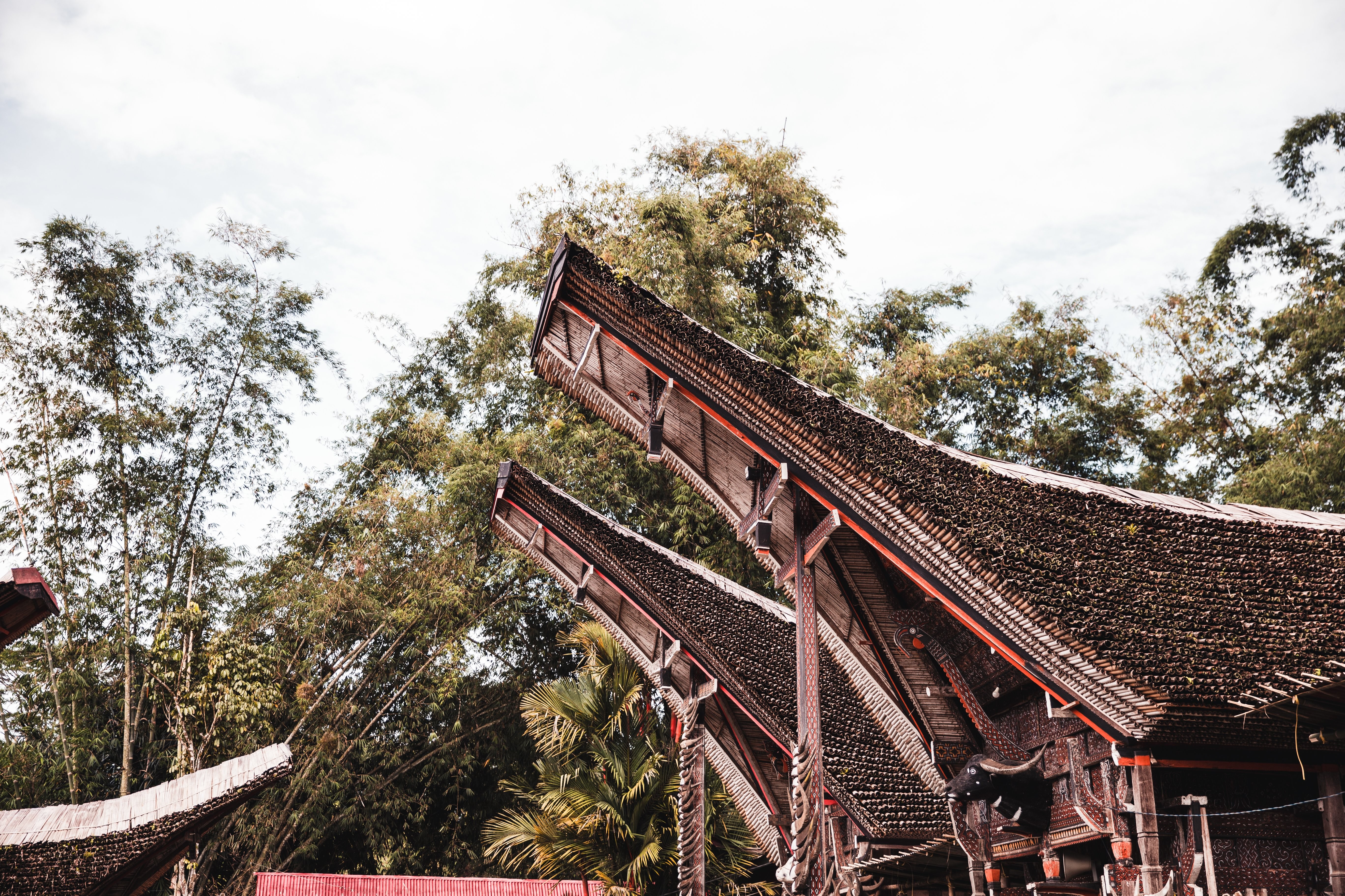 Foto de árboles y arquitectura indonesia