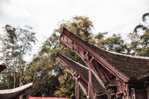 Árvores e foto da arquitetura da Indonésia