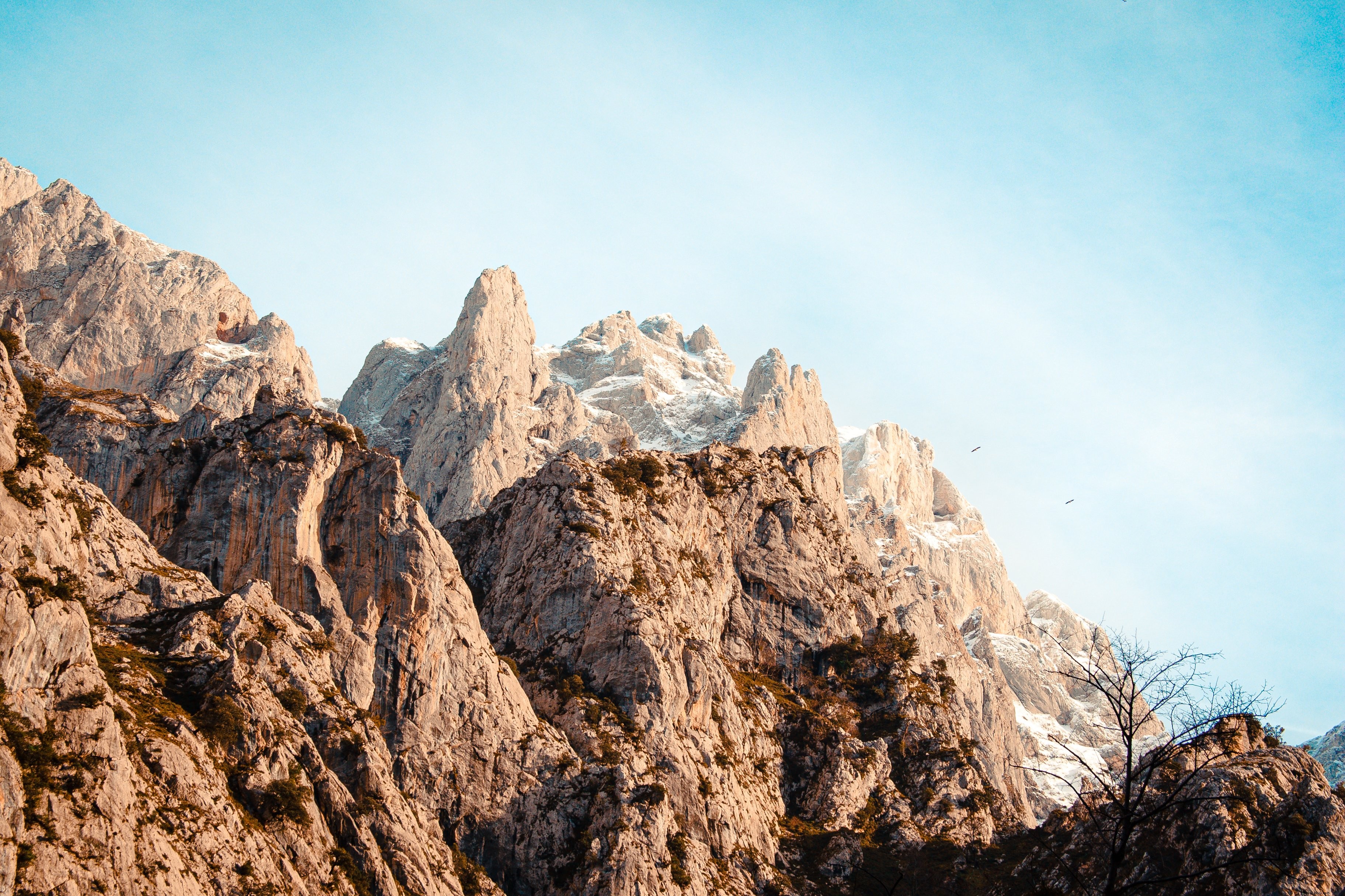 Aves volando hasta la cima de la montaña nevada Foto