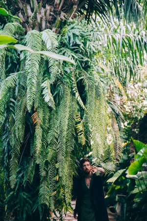 Um homem tira samambaias de seu caminho em um espaço botânico.