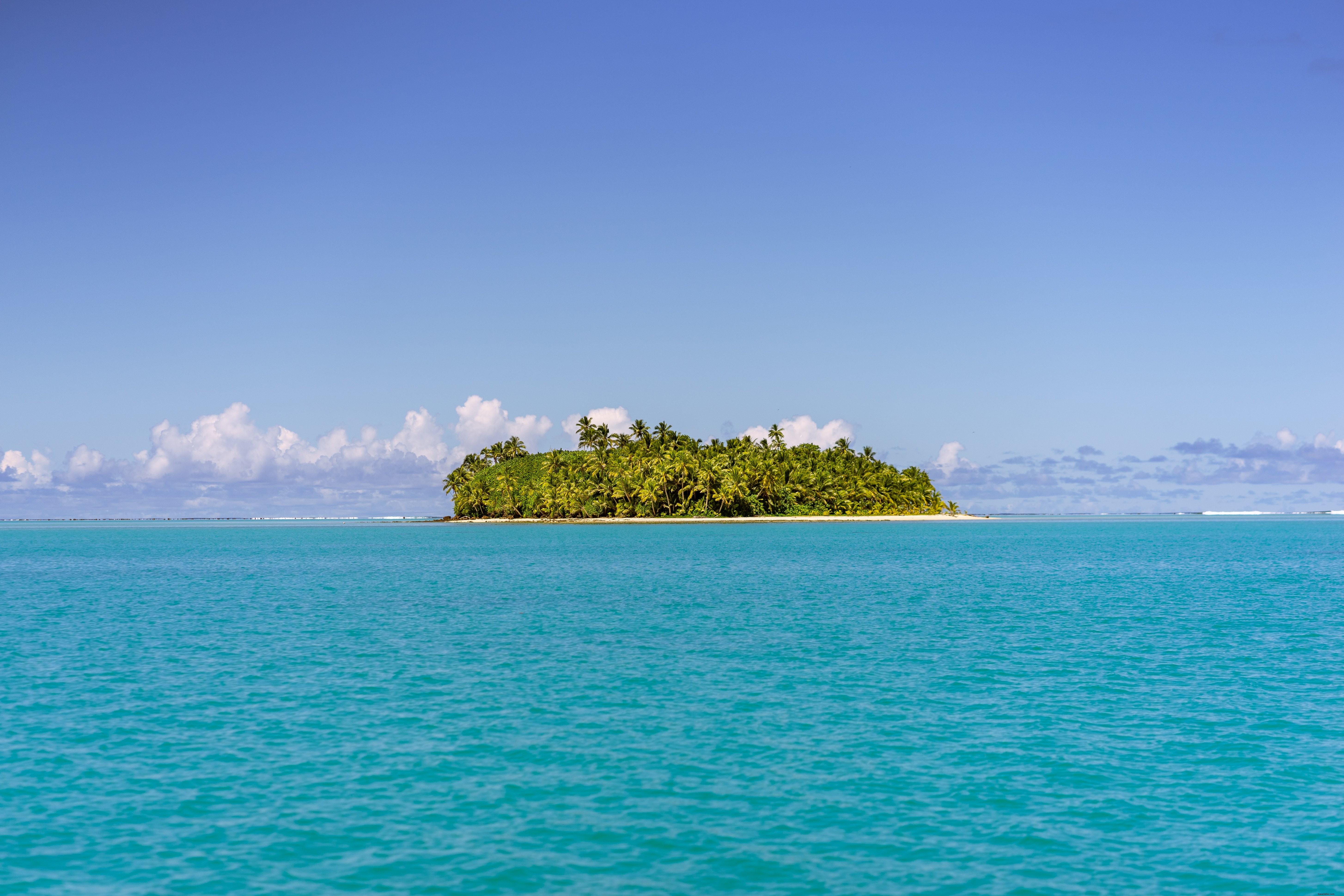 Foto de una isla llena de palmeras