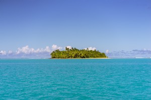 Foto de una isla llena de palmeras