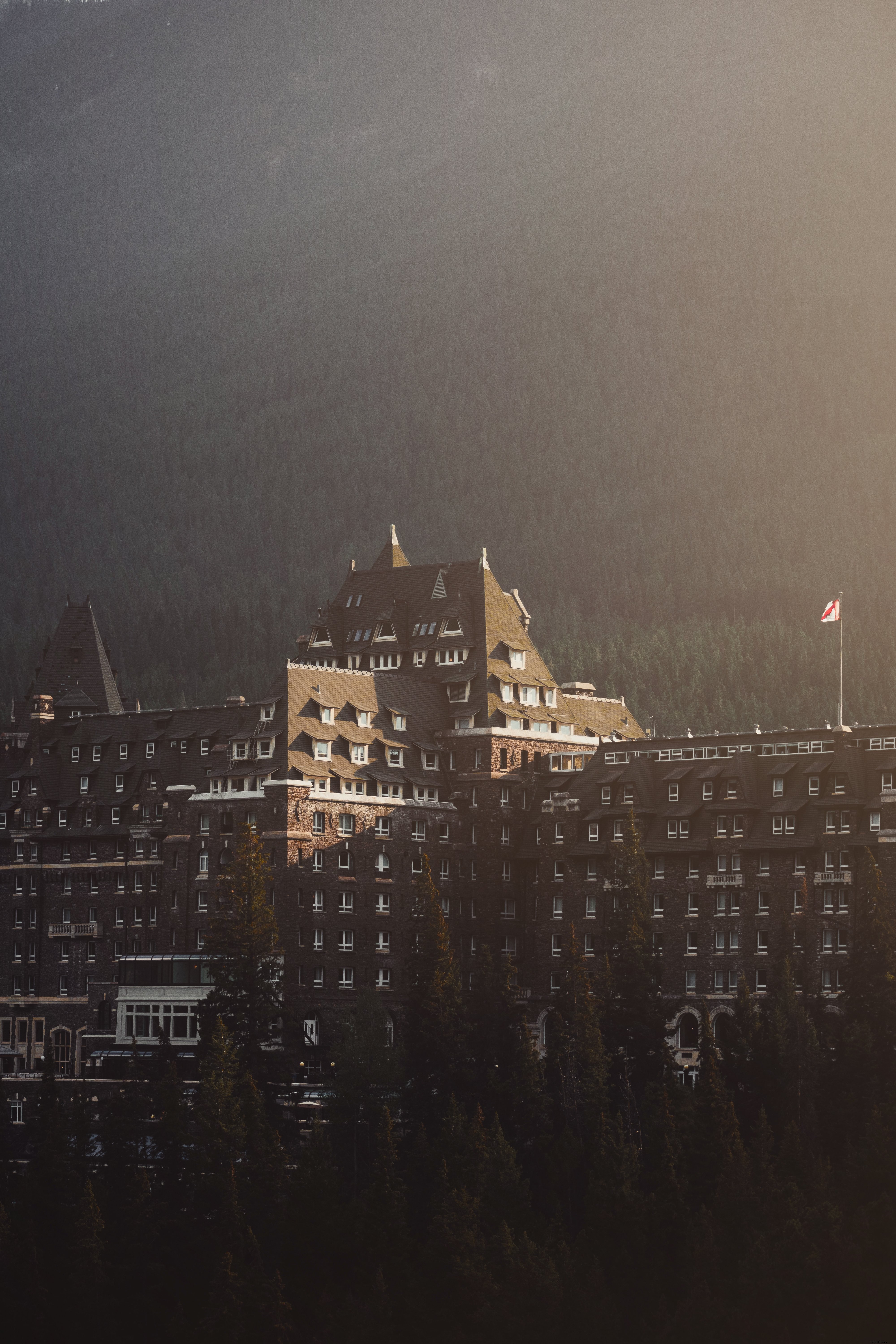 Le toit capture la lumière du soleil sous une montagne d arbres Photo