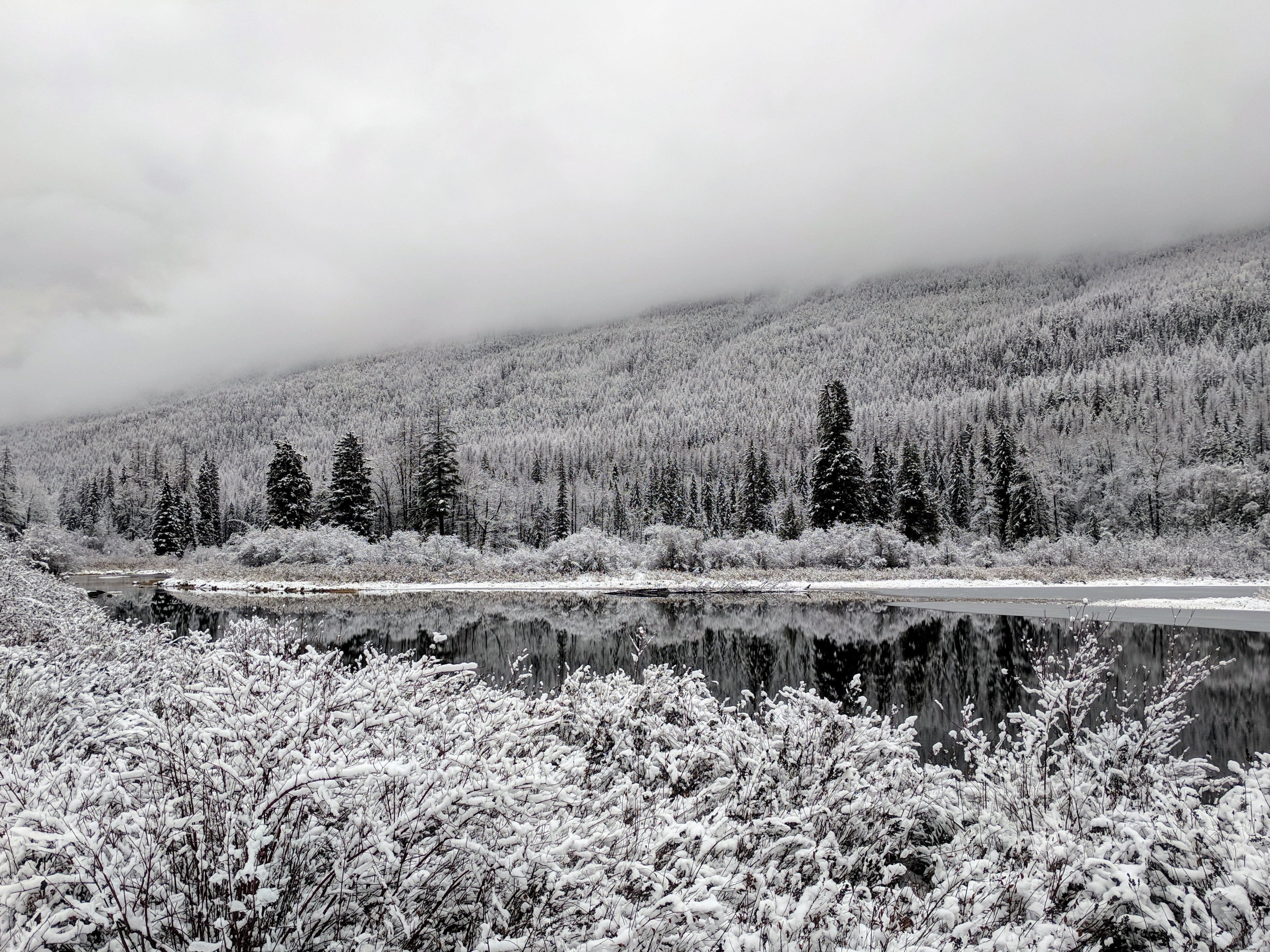 Riflessione di alberi innevati nel lago sotto foto