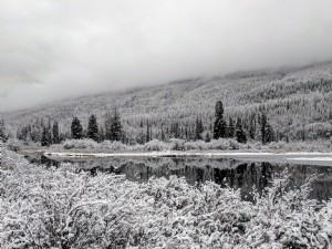 写真の下の湖の雪をかぶった木の反射
