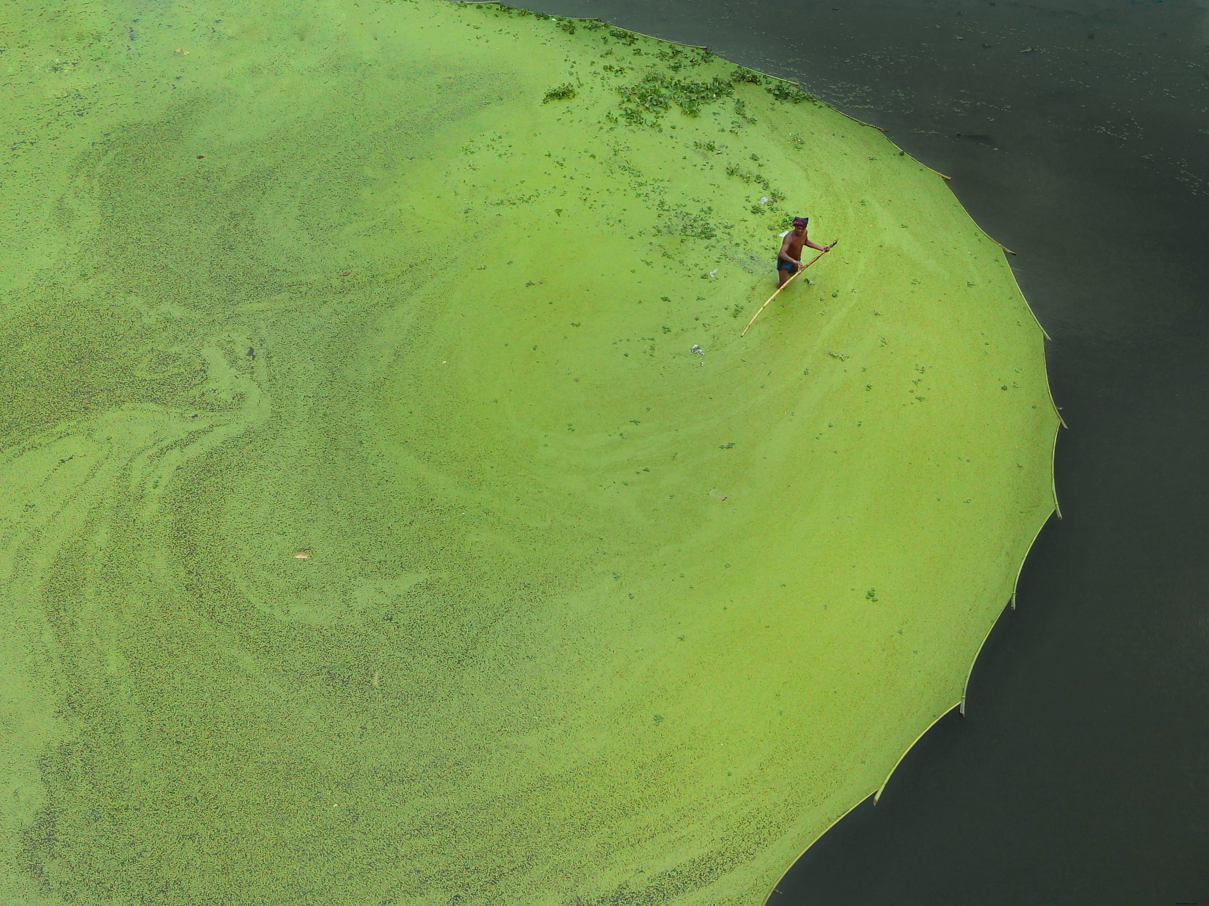 Veduta aerea dell uomo che guada nell acqua foto