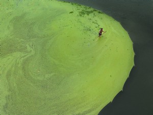 Vue aérienne de l homme pataugeant dans l eau Photo