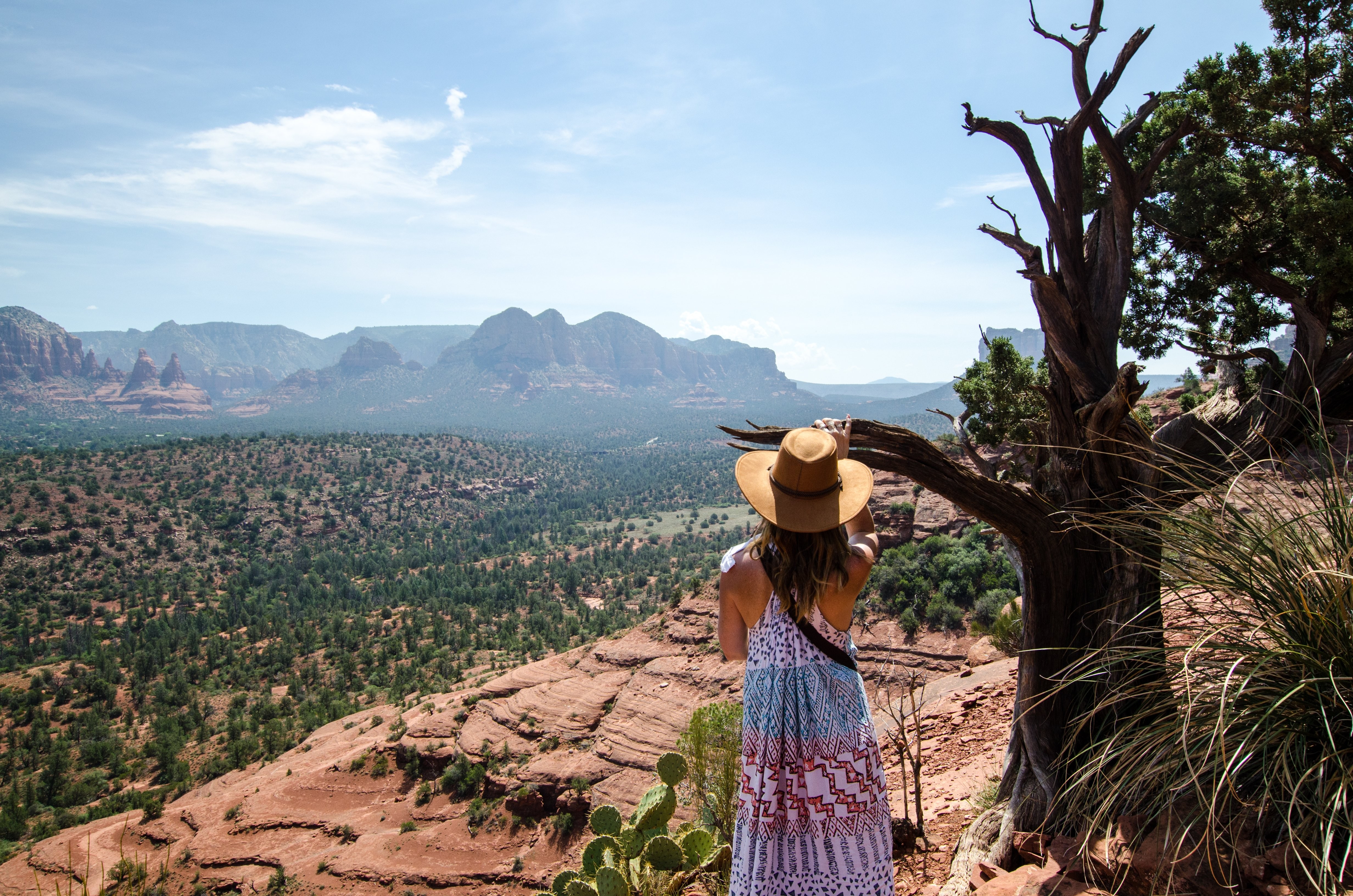 Una mujer junto a un árbol mira hacia abajo sobre el valle Foto