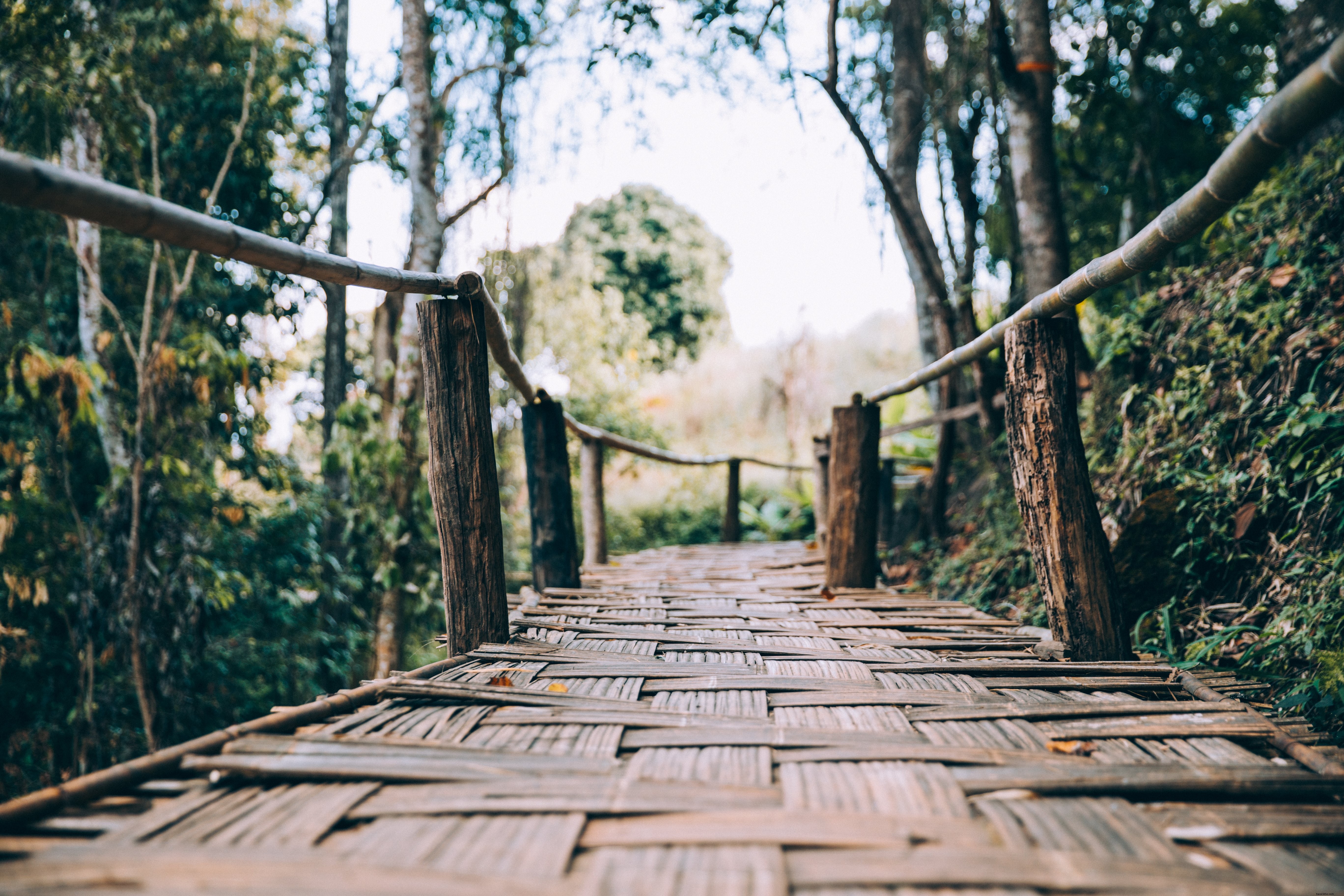 Foto de puente peatonal de bambú tejido de madera