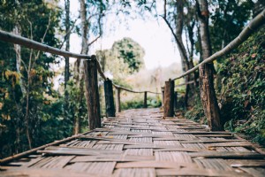 Foto de puente peatonal de bambú tejido de madera