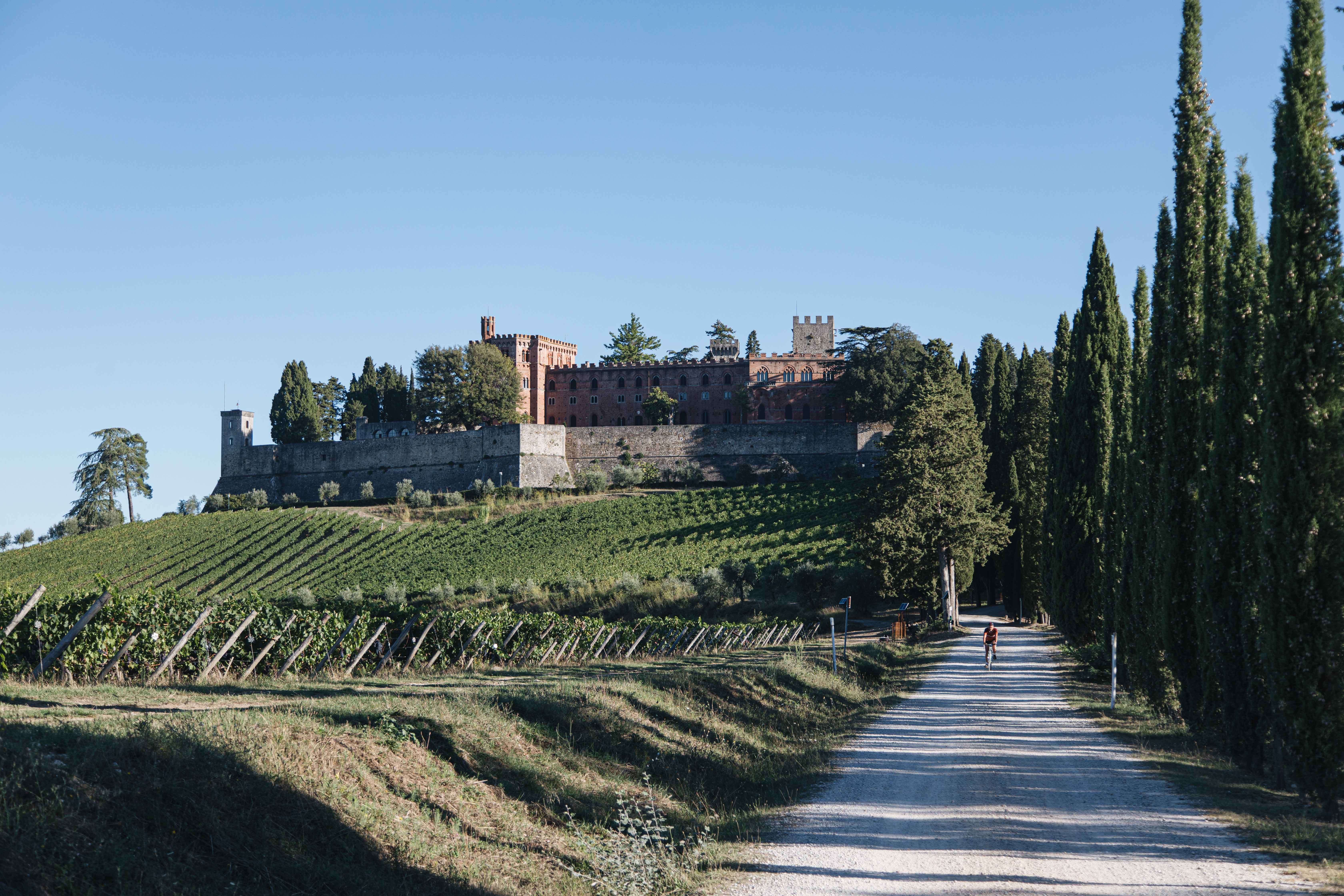 Personne Cycles à côté d une photo de vignoble