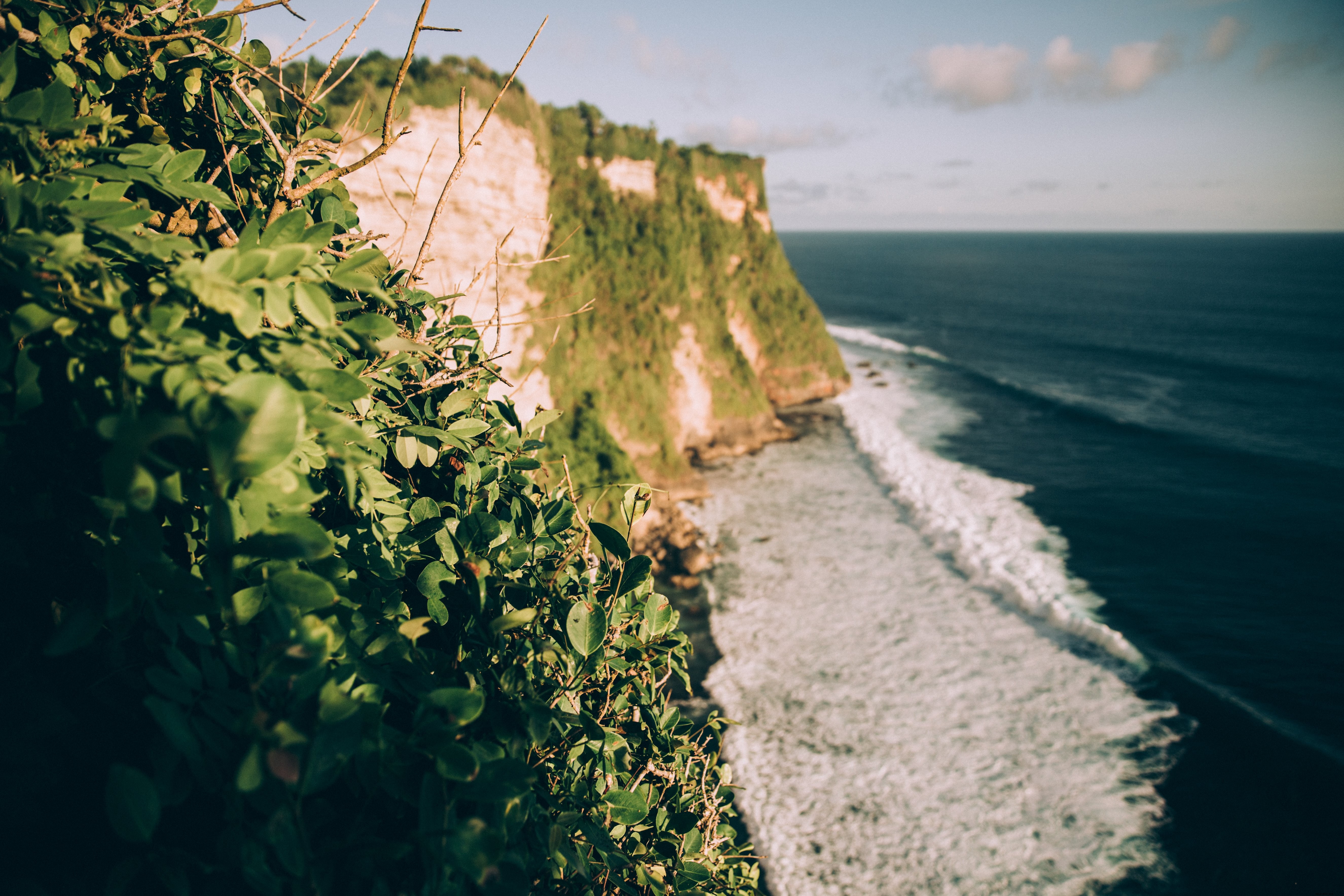 Foto de penhascos cobertos de verde com ondas quebrando