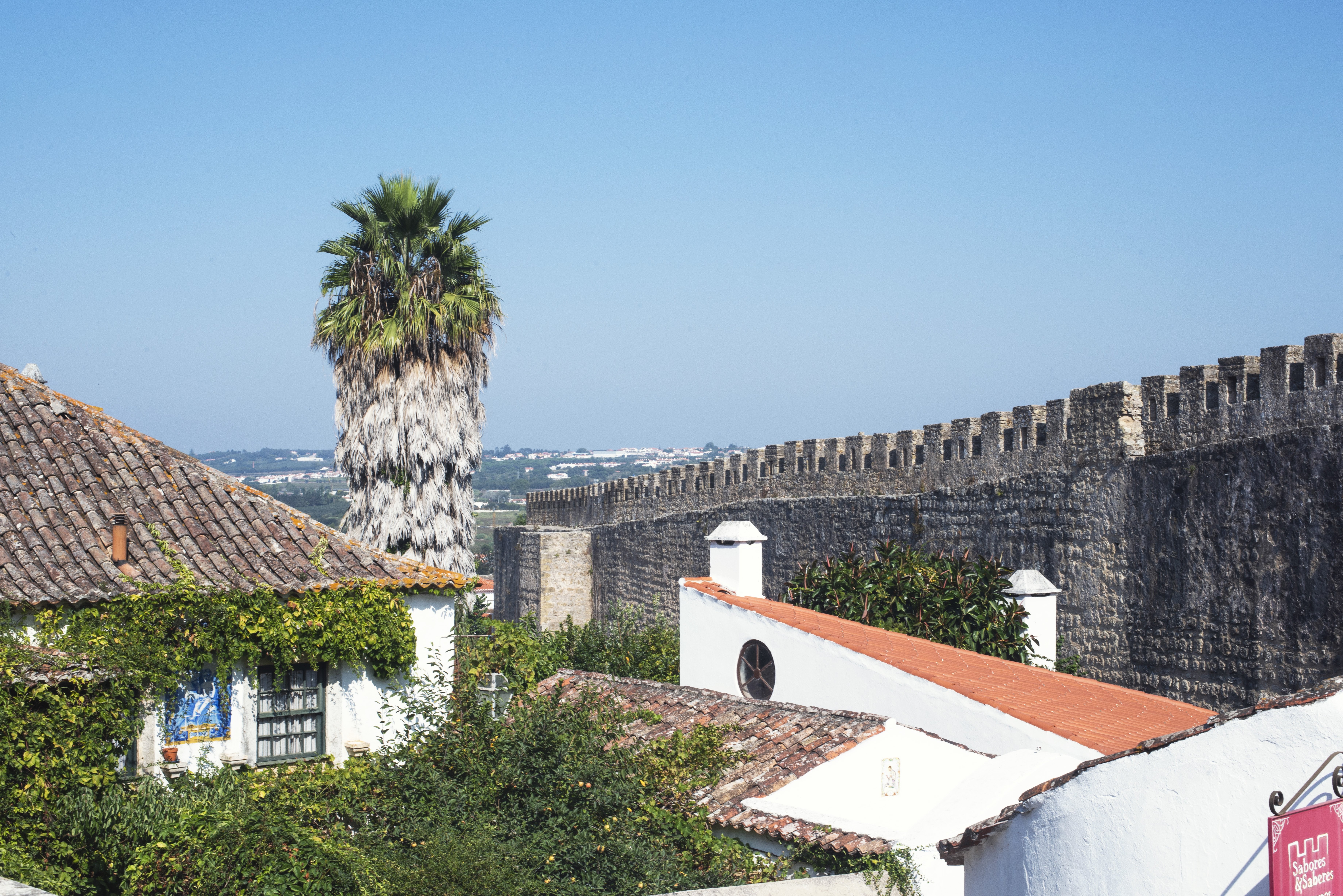 Un árbol alto domina el horizonte sobre una pared vieja Foto