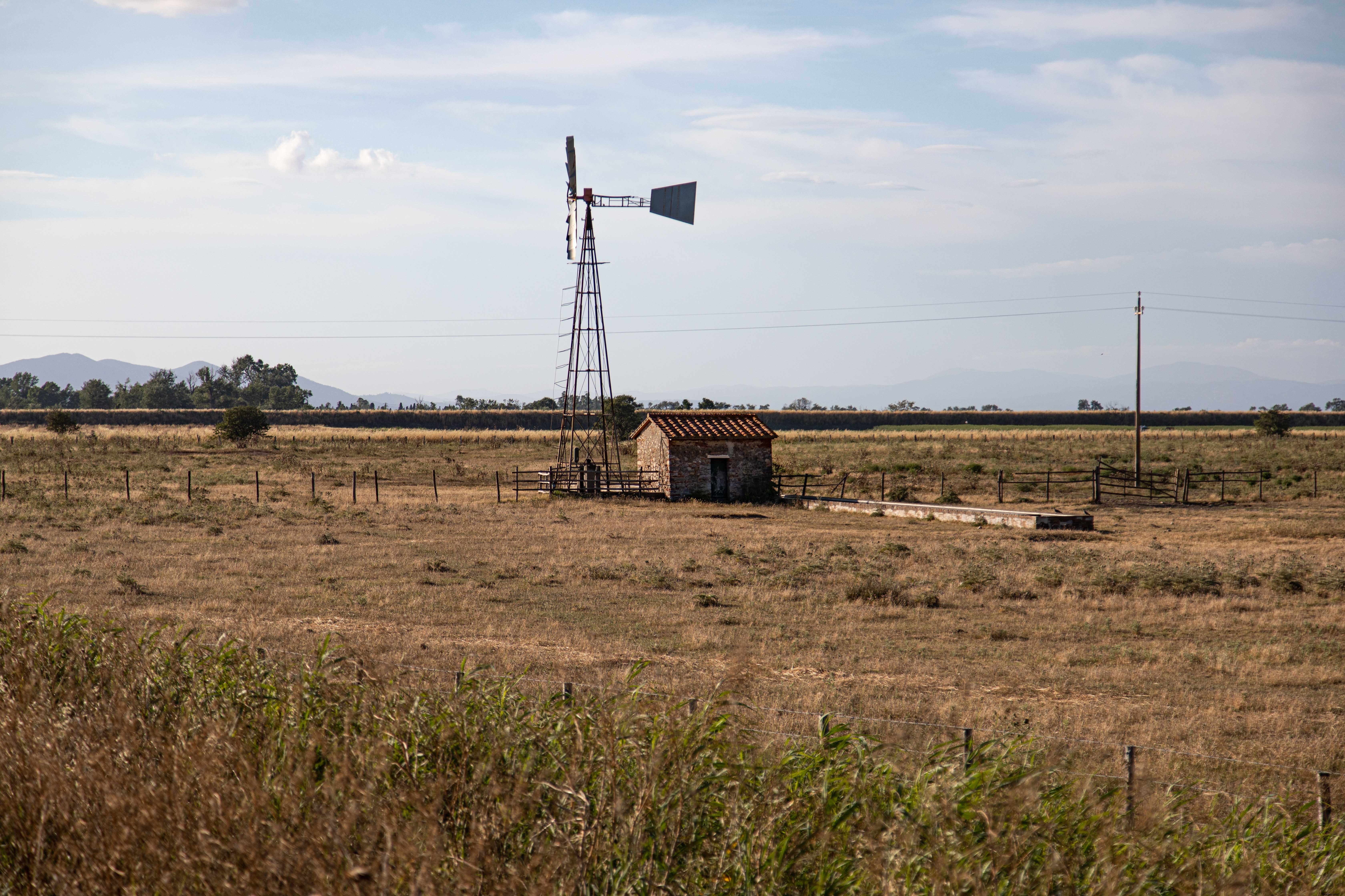 田舎の風車と外の家の写真