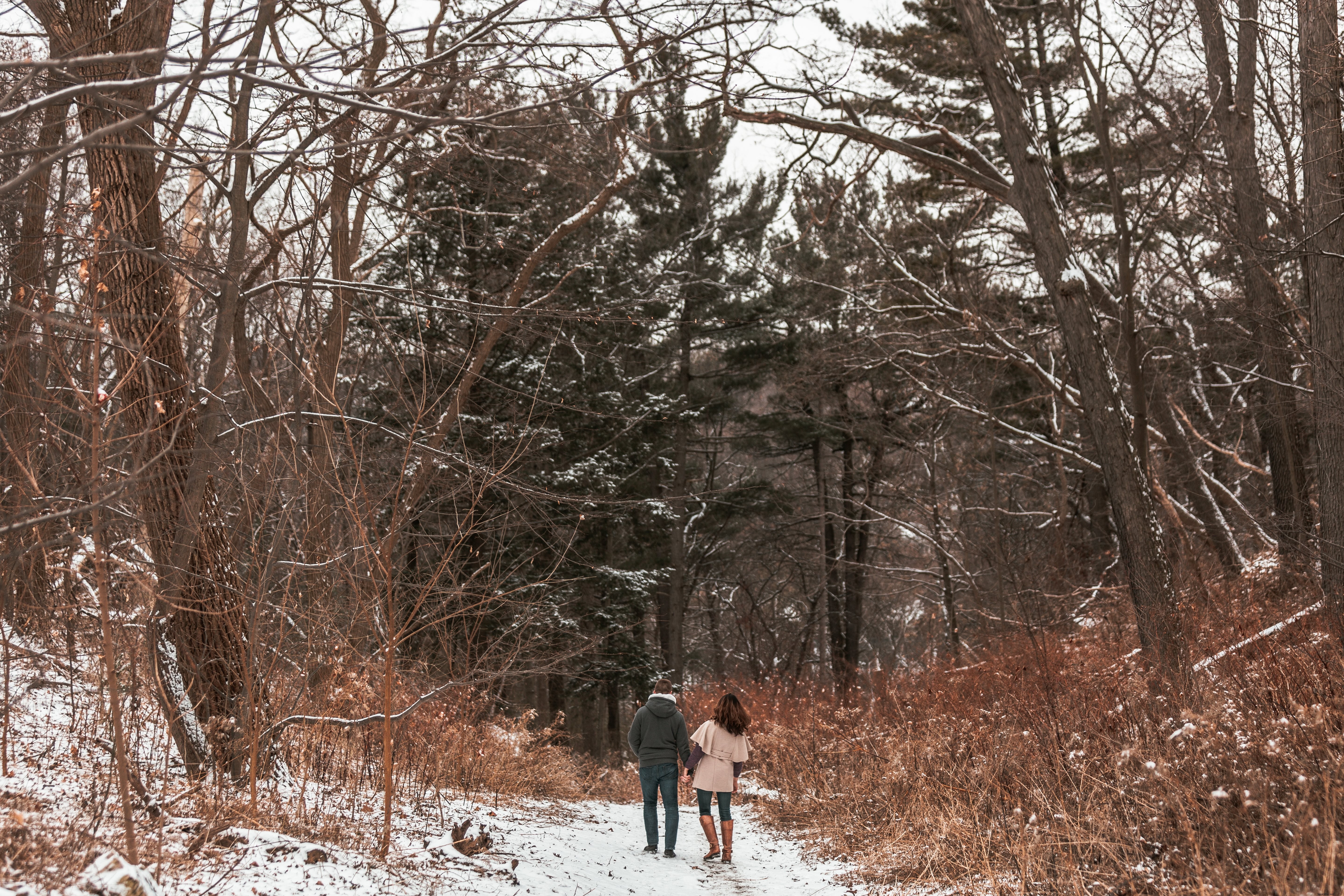 Um casal passeia por uma foto de floresta coberta de neve