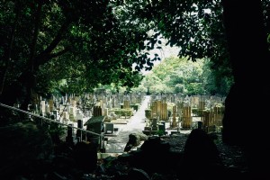 日光を照らす日本の墓地の写真