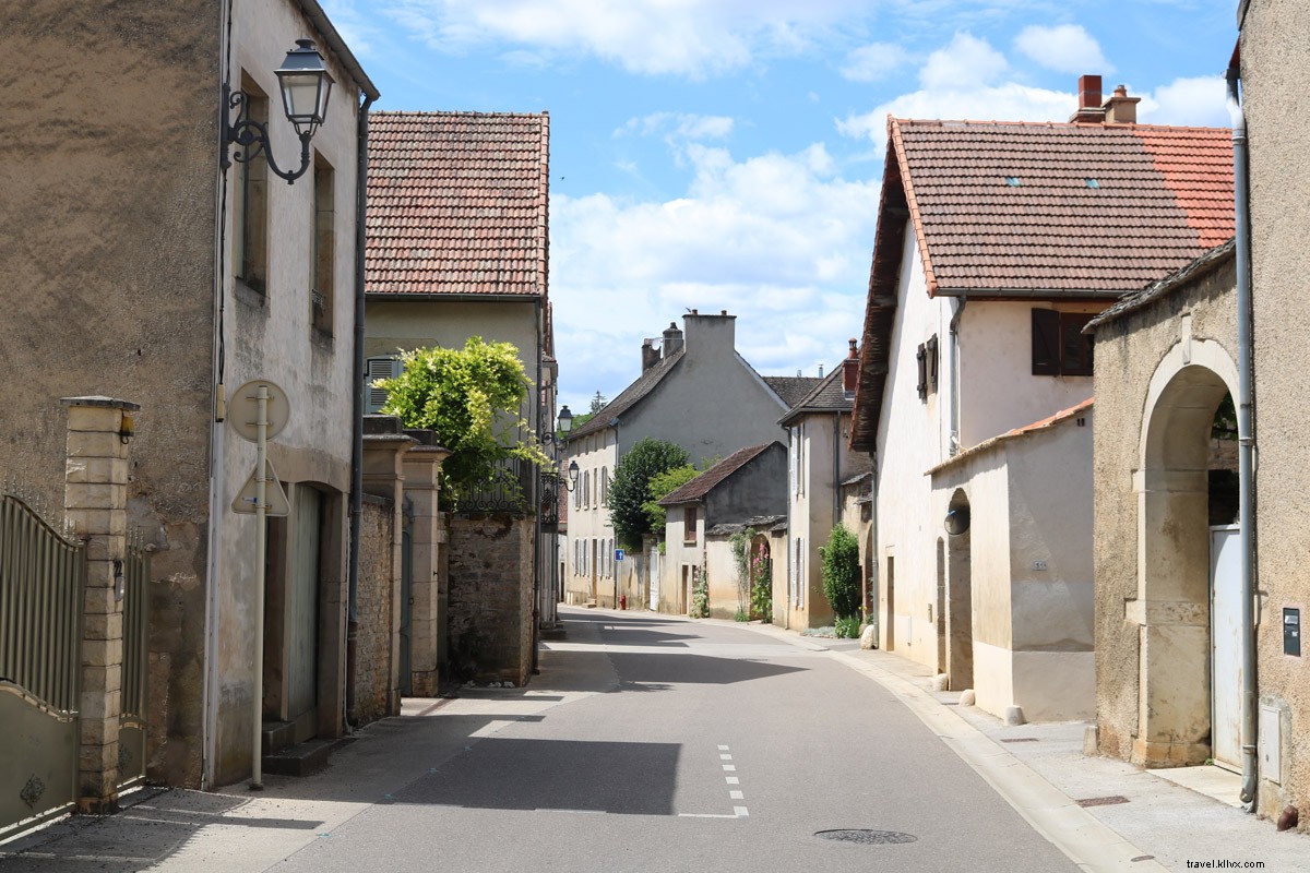 Andare in bicicletta e bere e rilassarsi in Borgogna