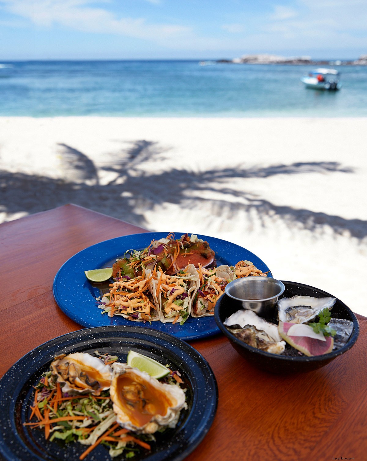 Do mar à mesa em Punta Mita:triunfos dos frutos do mar na costa do Pacífico do México