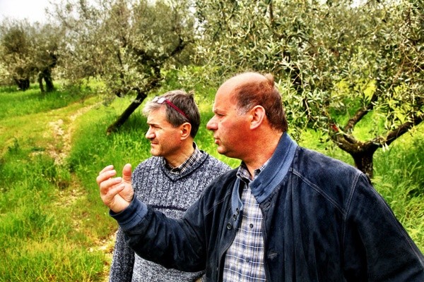 ¿Este hombre encontró el mejor aceite de oliva en Italia?